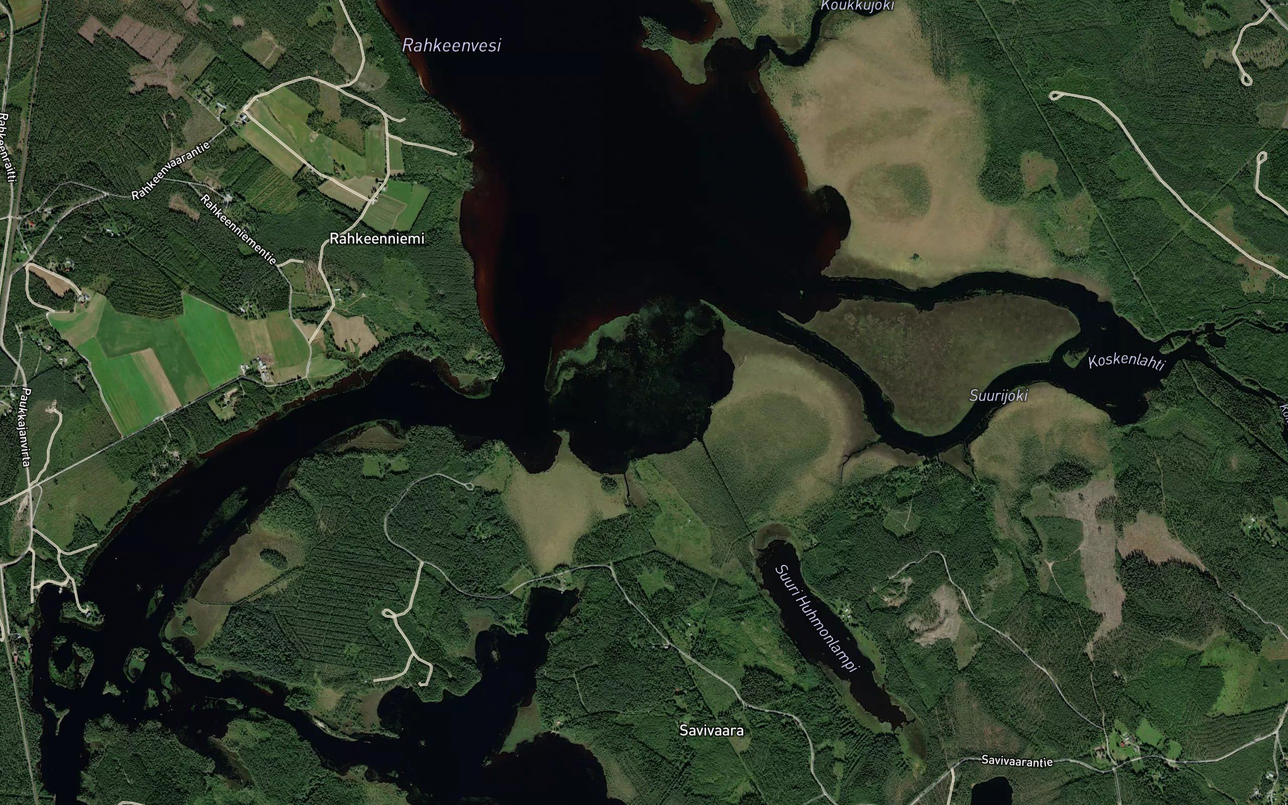 Koidanlampi