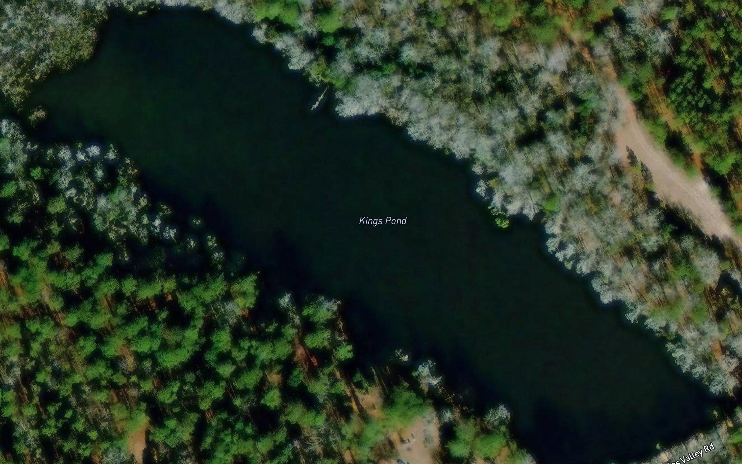 Kings Pond