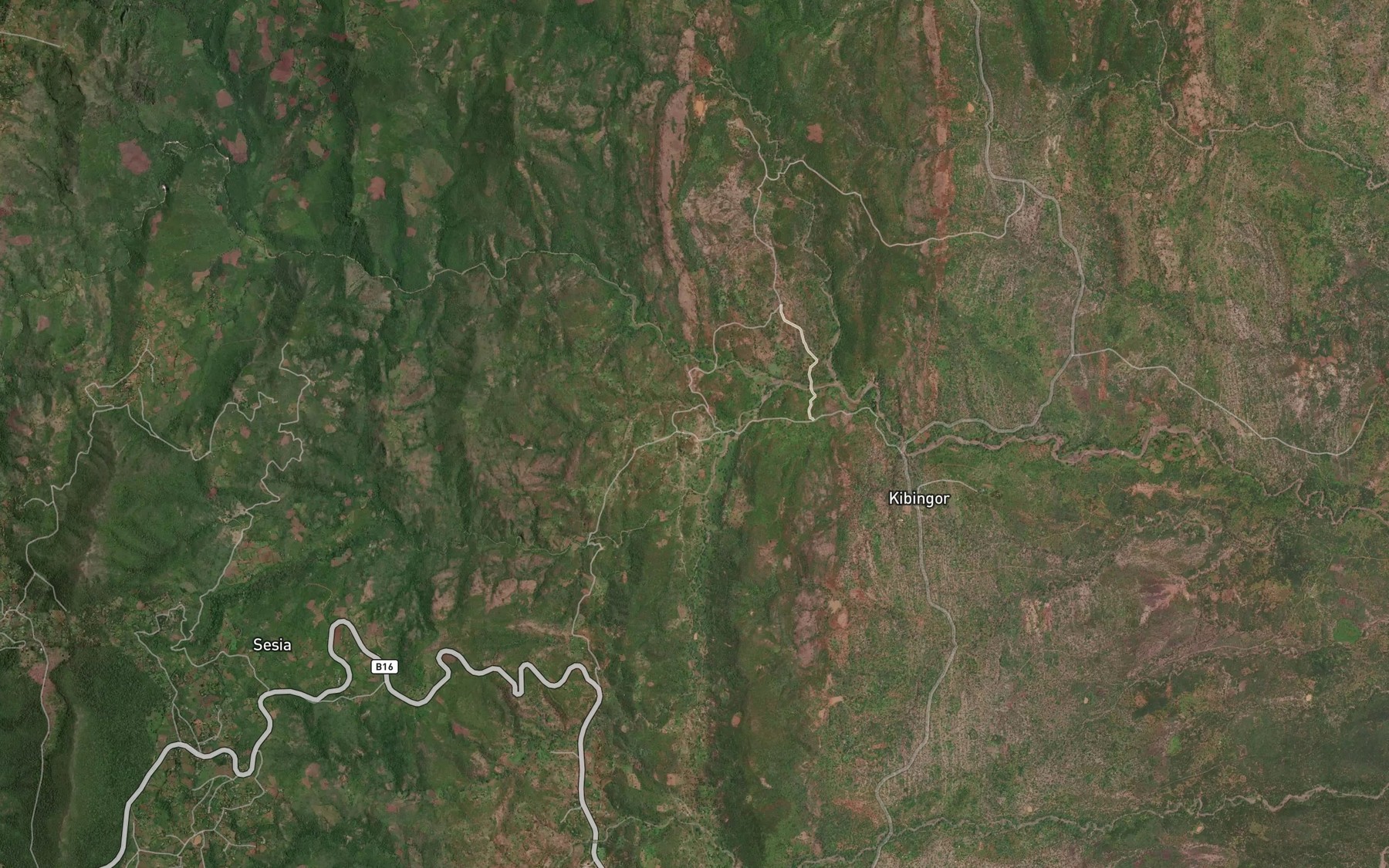 Satellite map of the Rondi