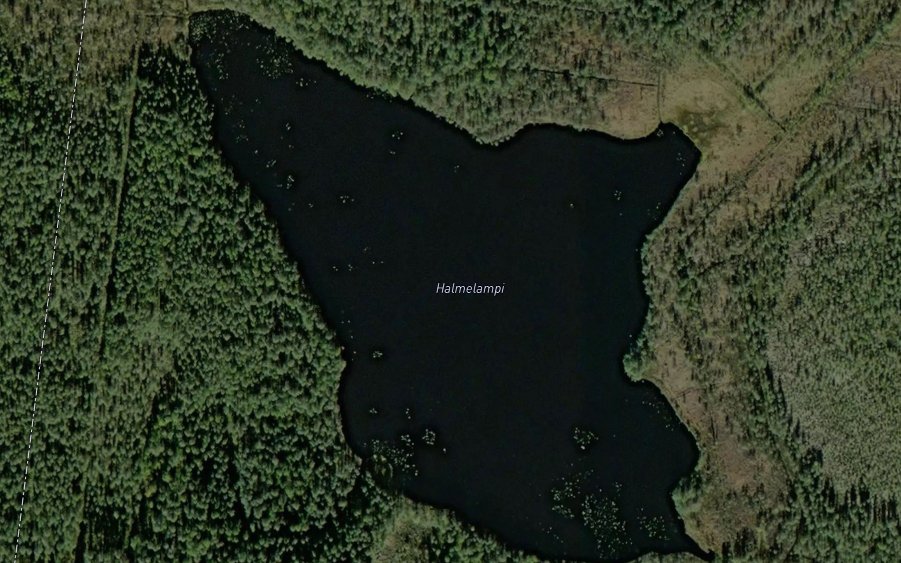 Satellite map of the Halmelampi