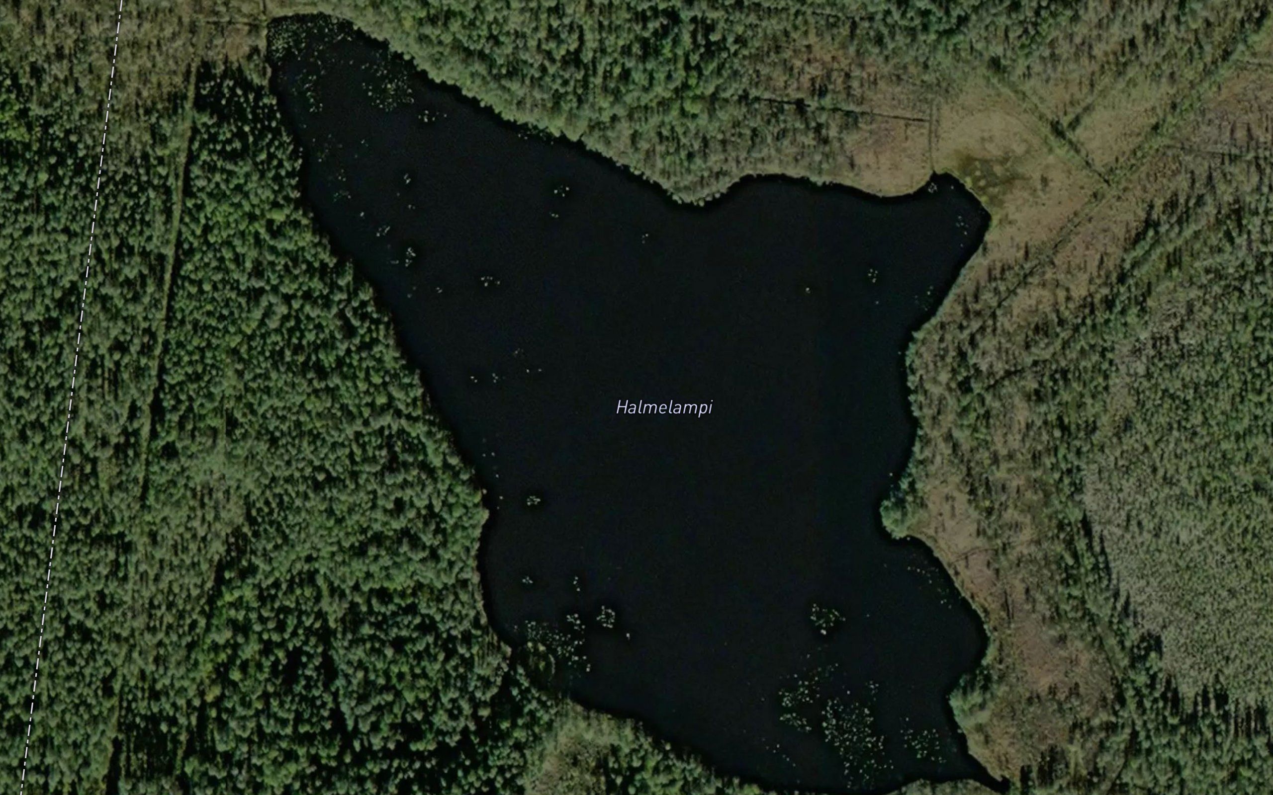 Halmelampi
