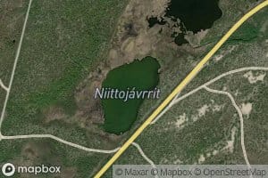 Niitujavrit