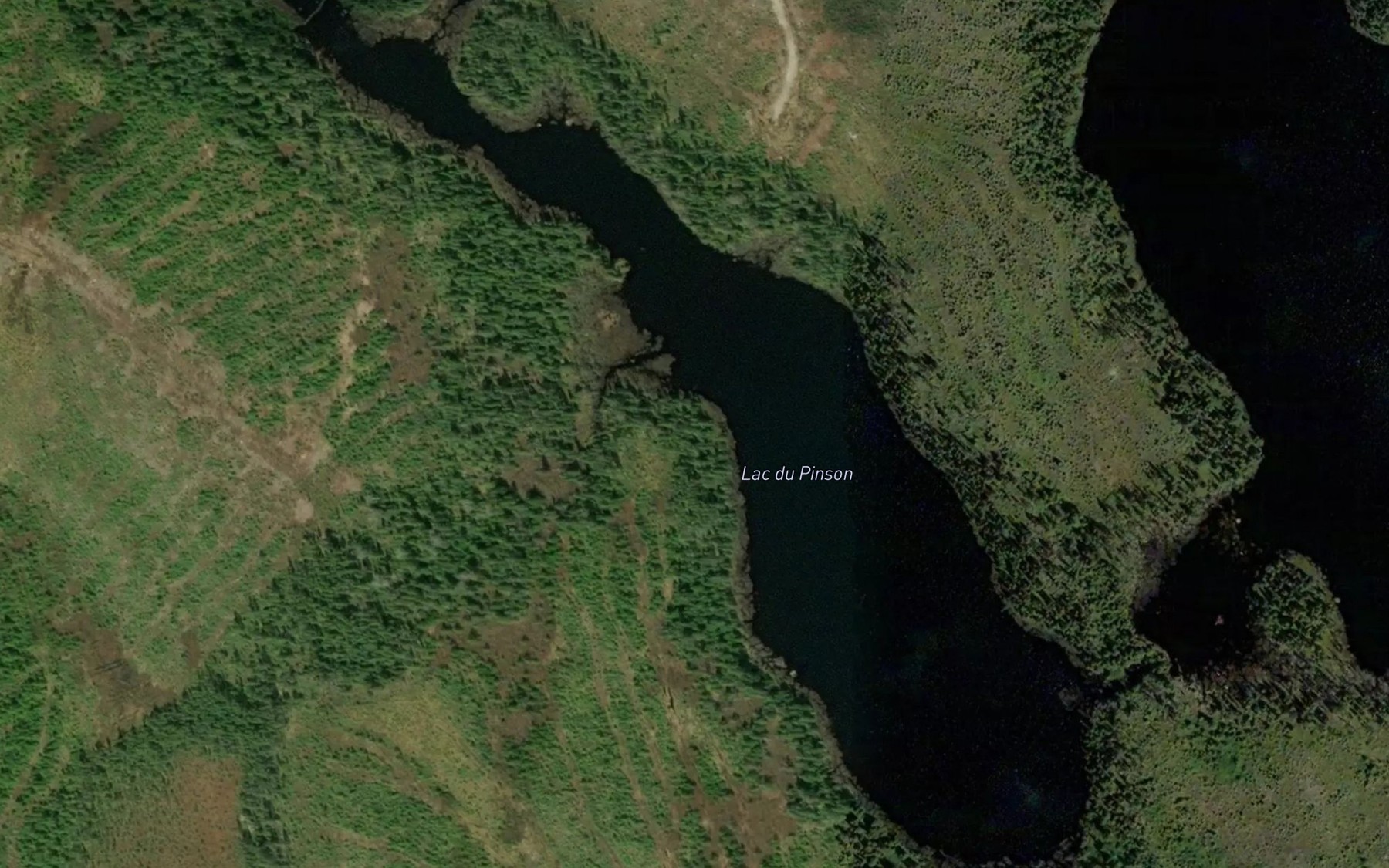 Satellite map of the Lac du Pinson