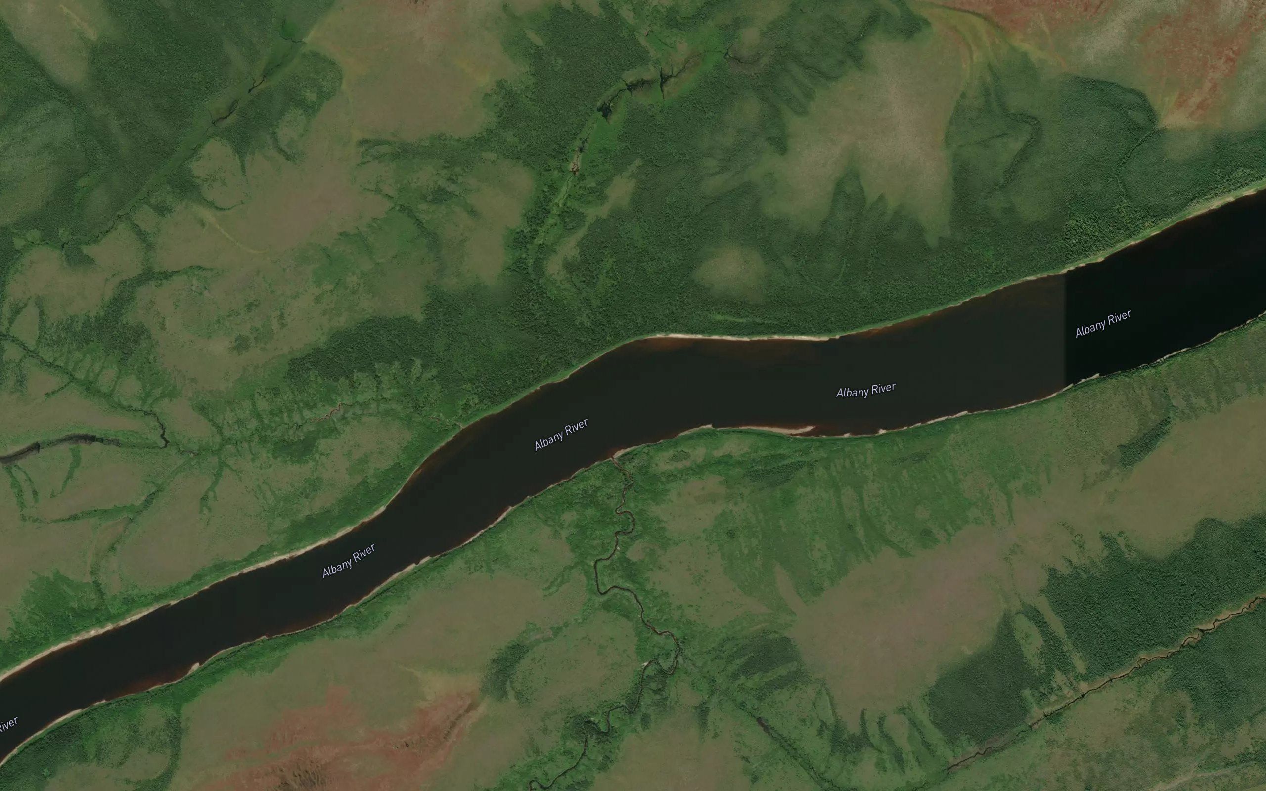 Nest River