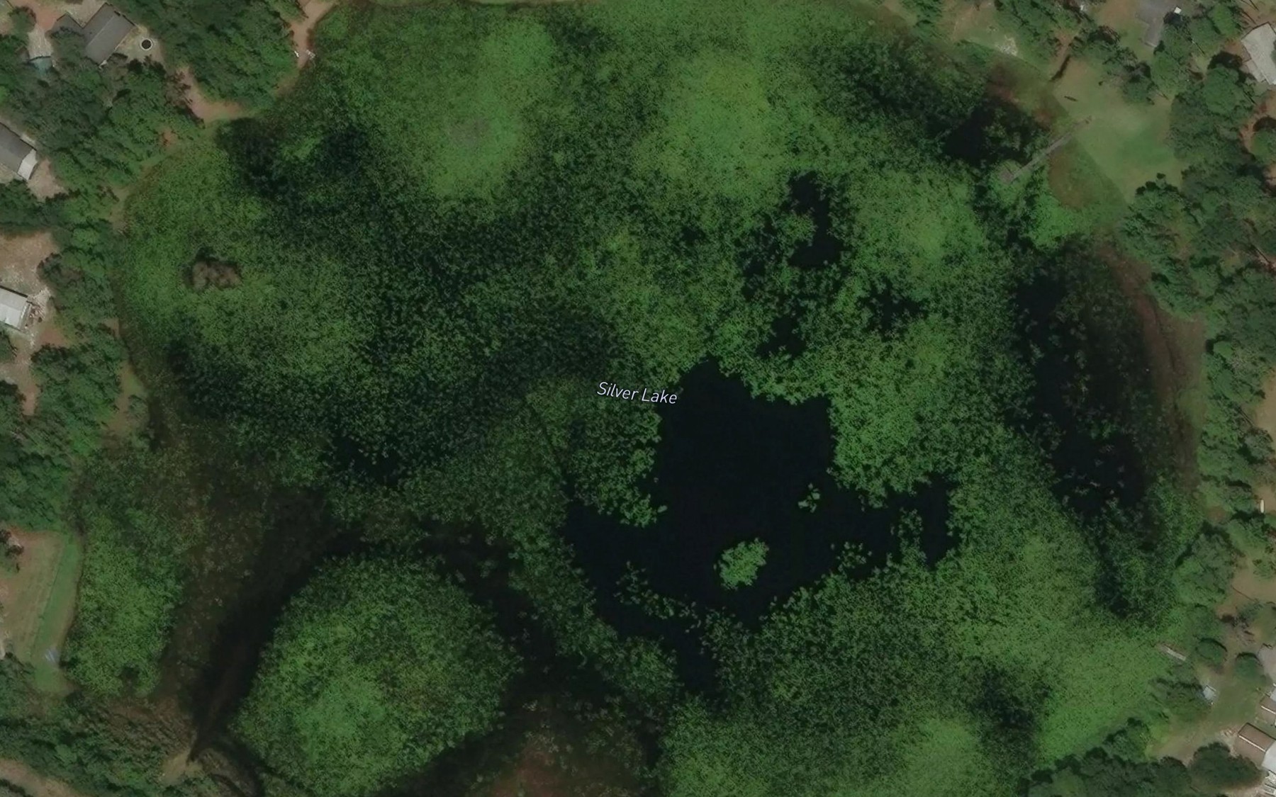 Satellite map of the Silver Lake