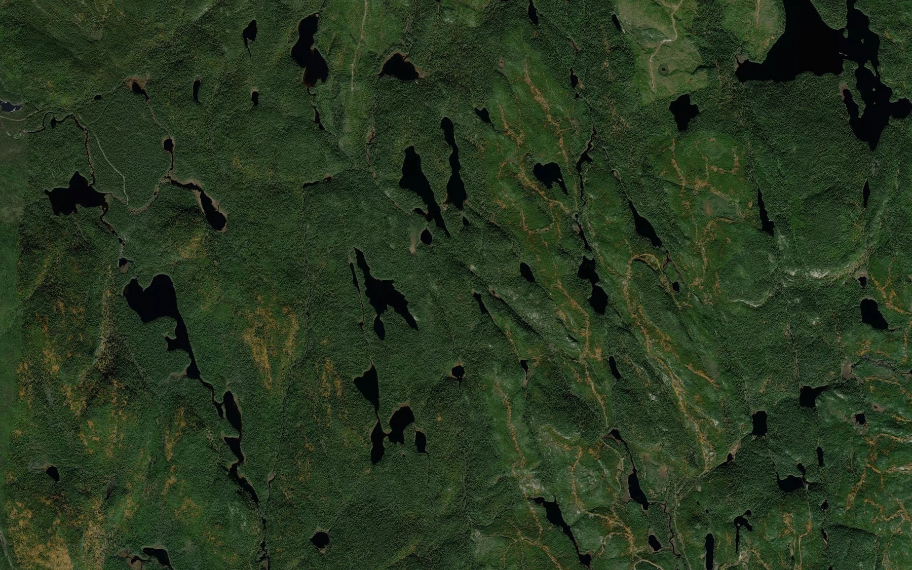 Satellite map of the Lac Fecteau