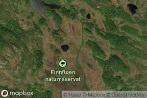 Finnflobekken