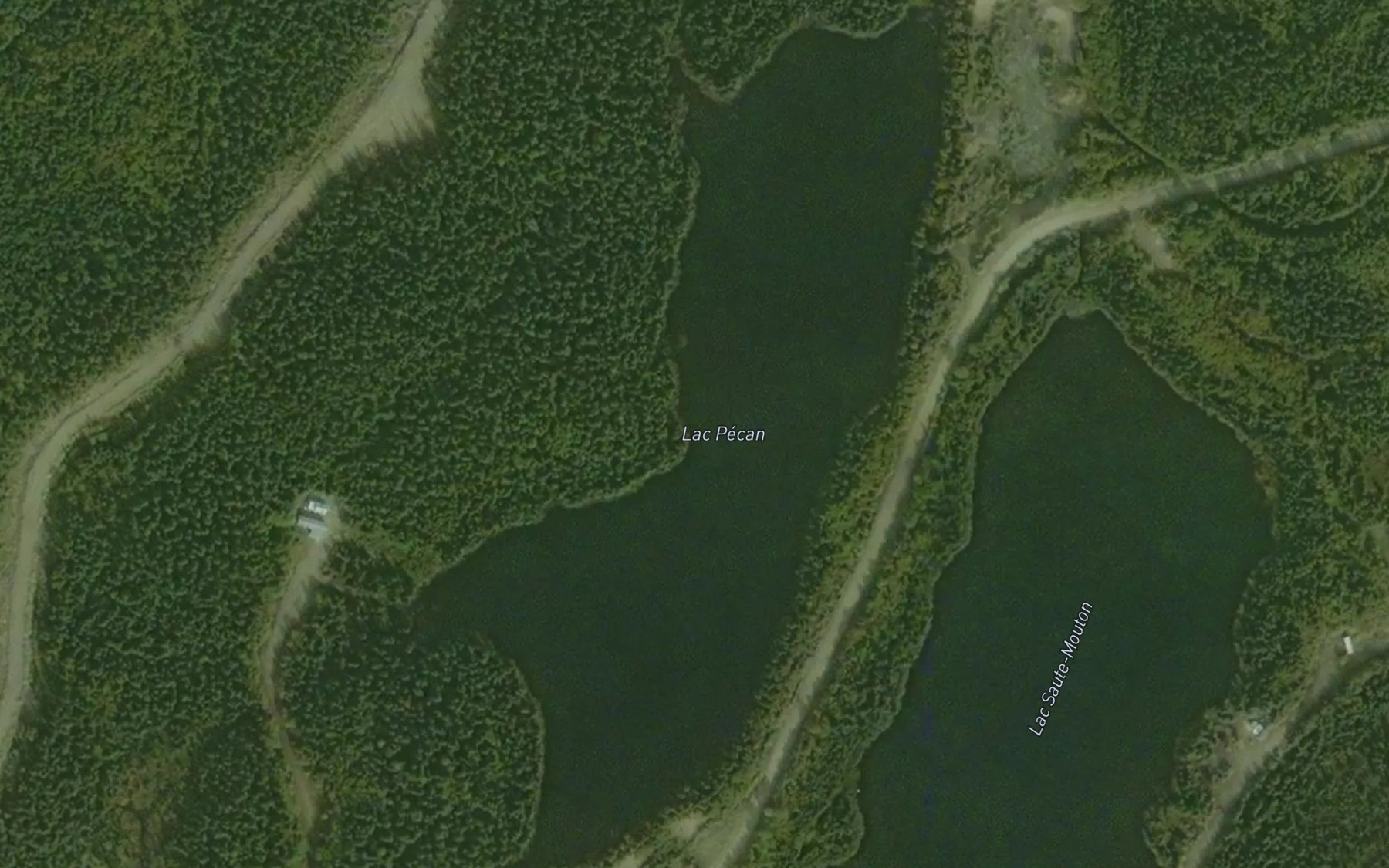 Satellite map of the Lac Pecan