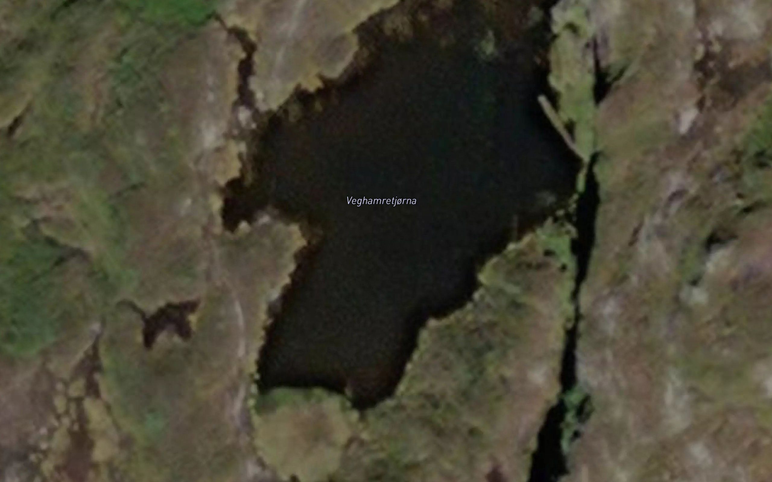 Veghamretjorna