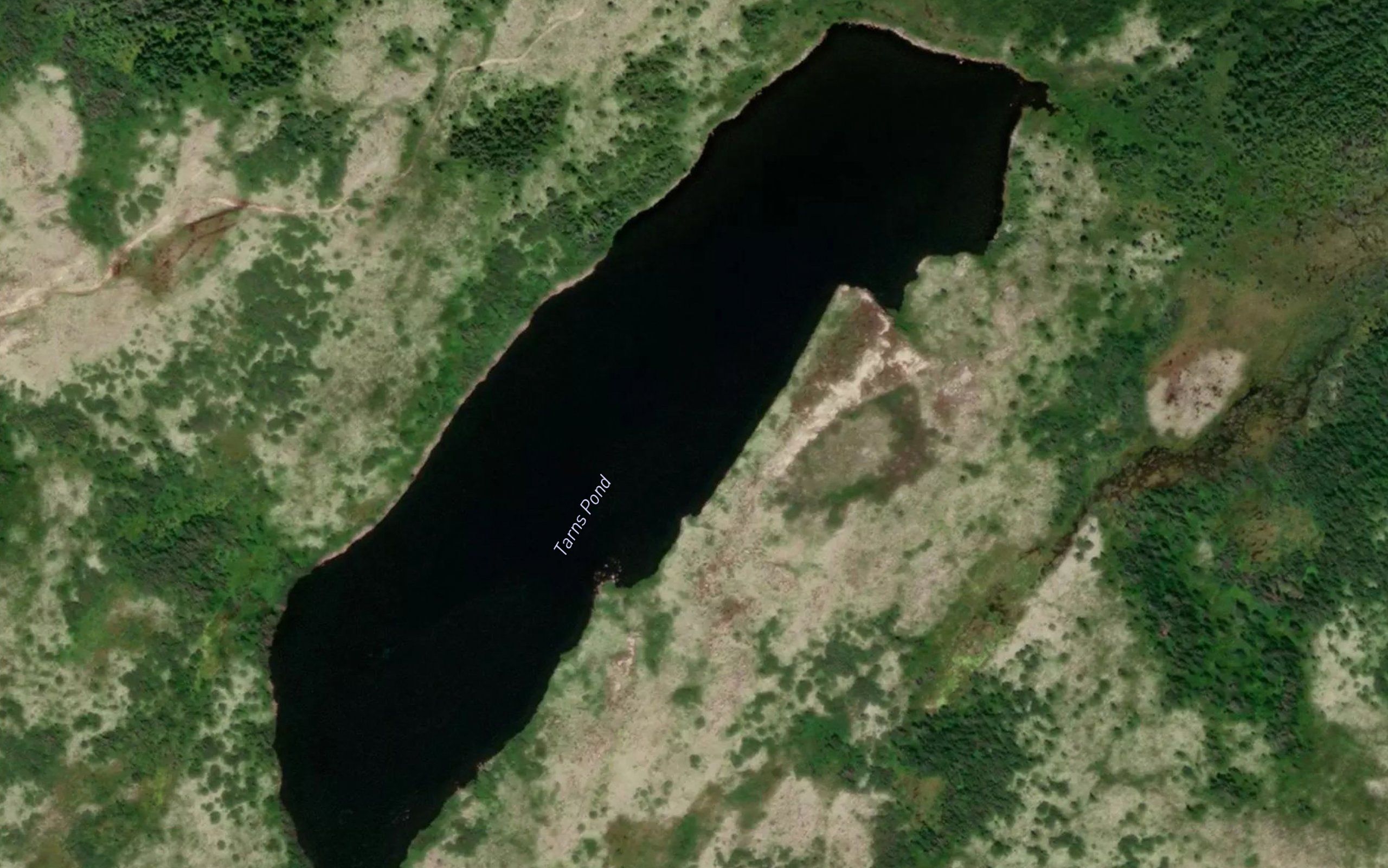 Tarns Pond