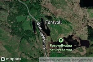 Ytre Forsvollsvatnet