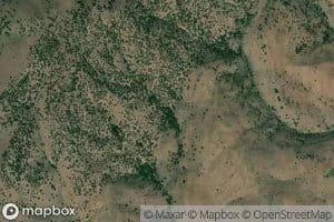Buckskin Spring