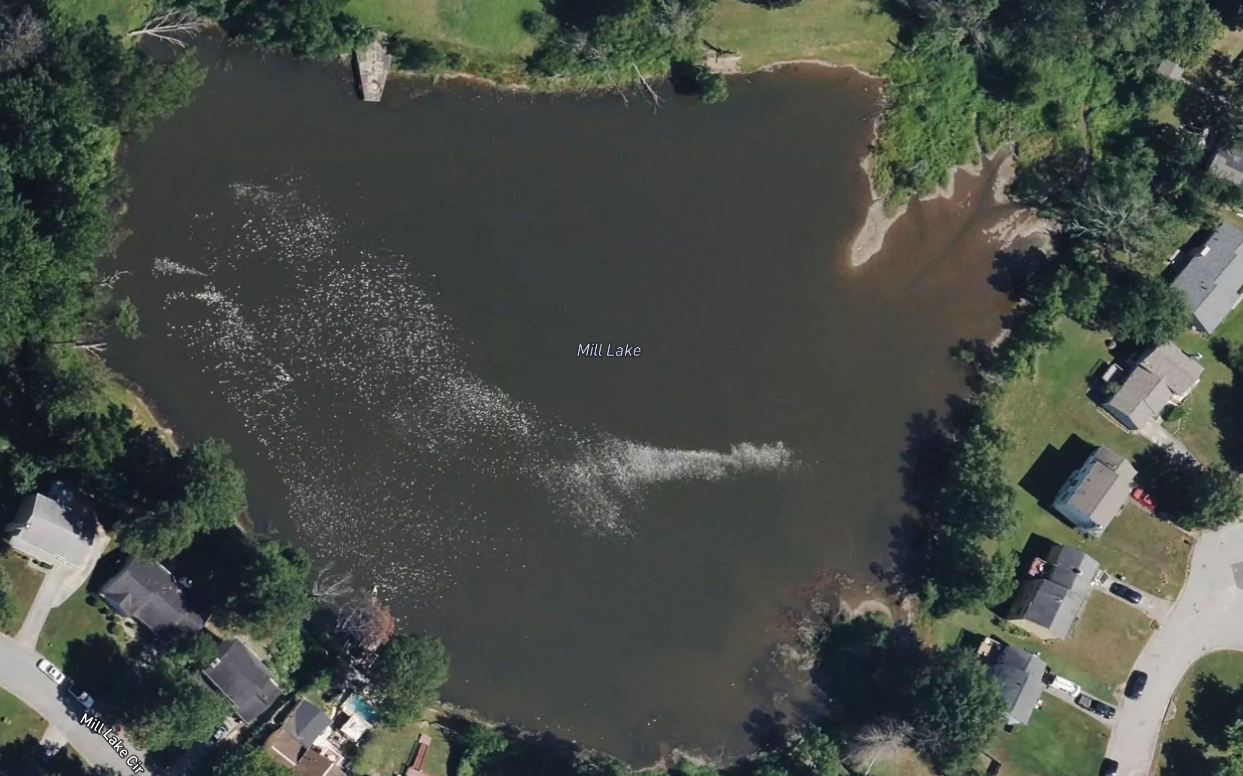 Mill Lake