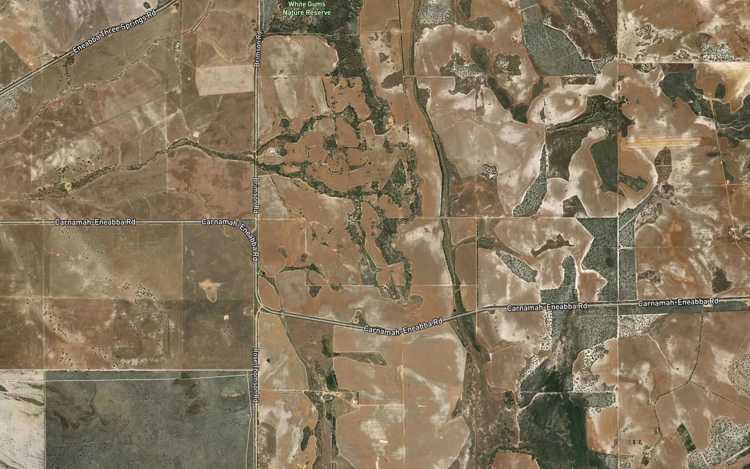 Eneabba Spring