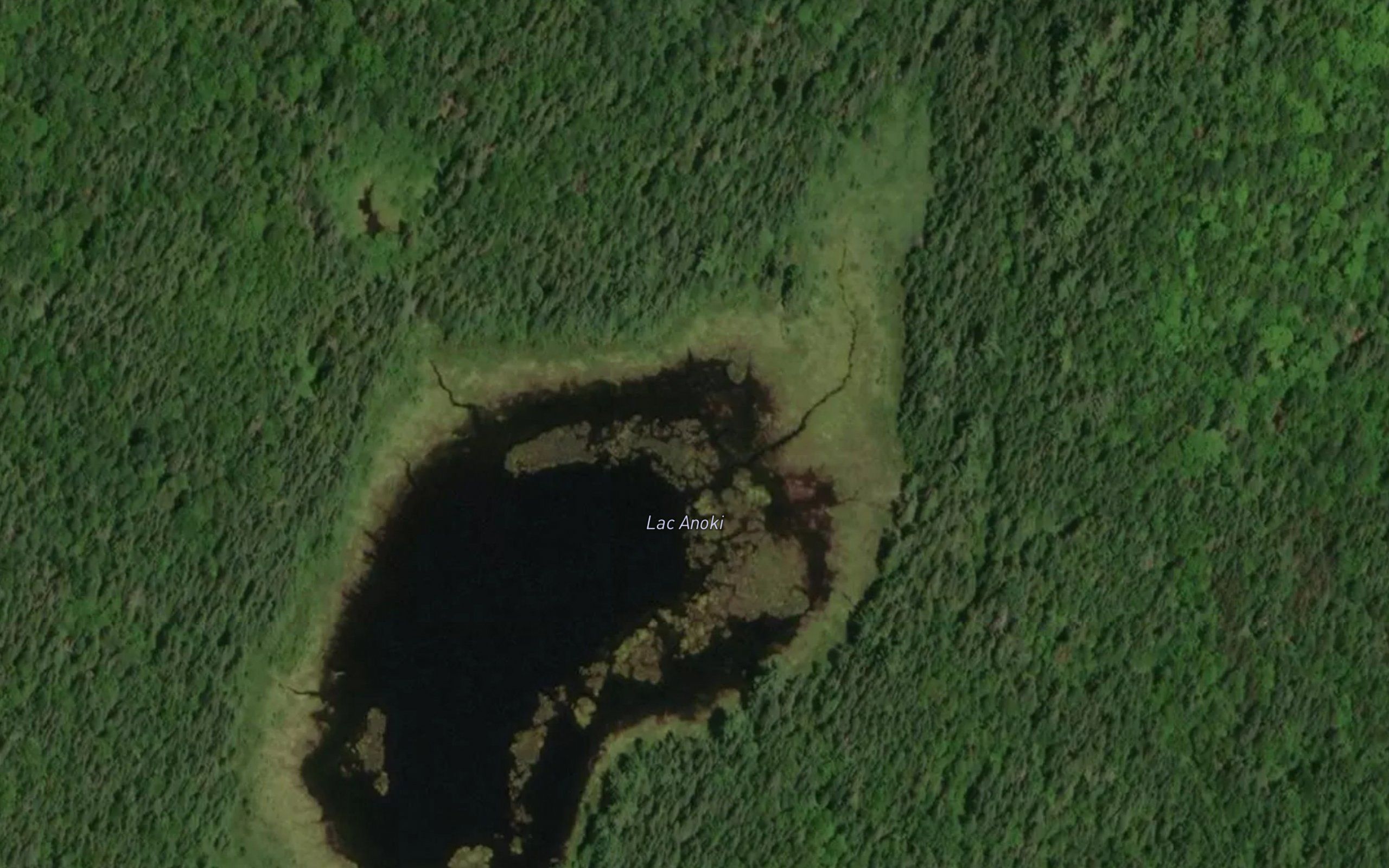 Lac Anoki