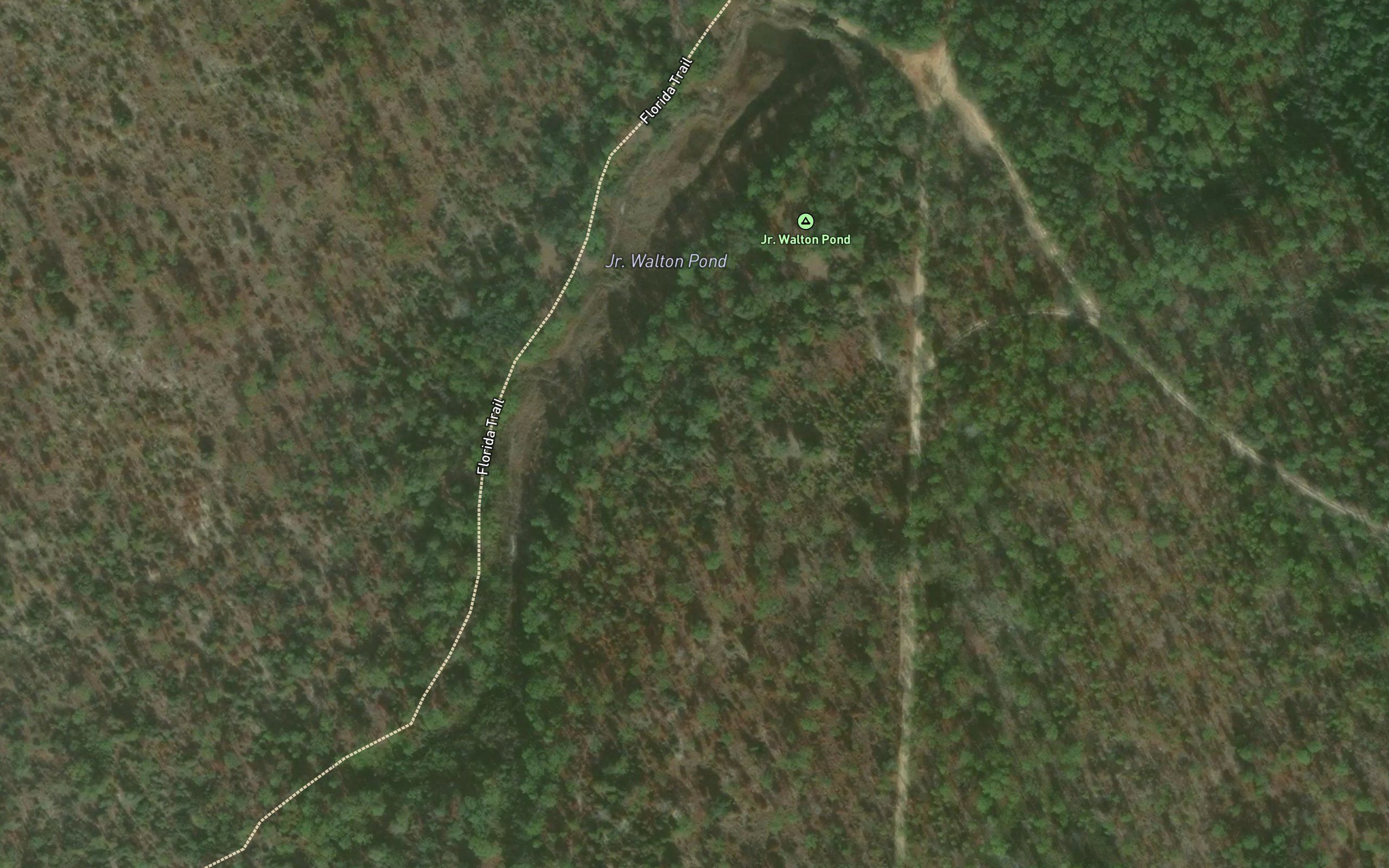 Walton Pond