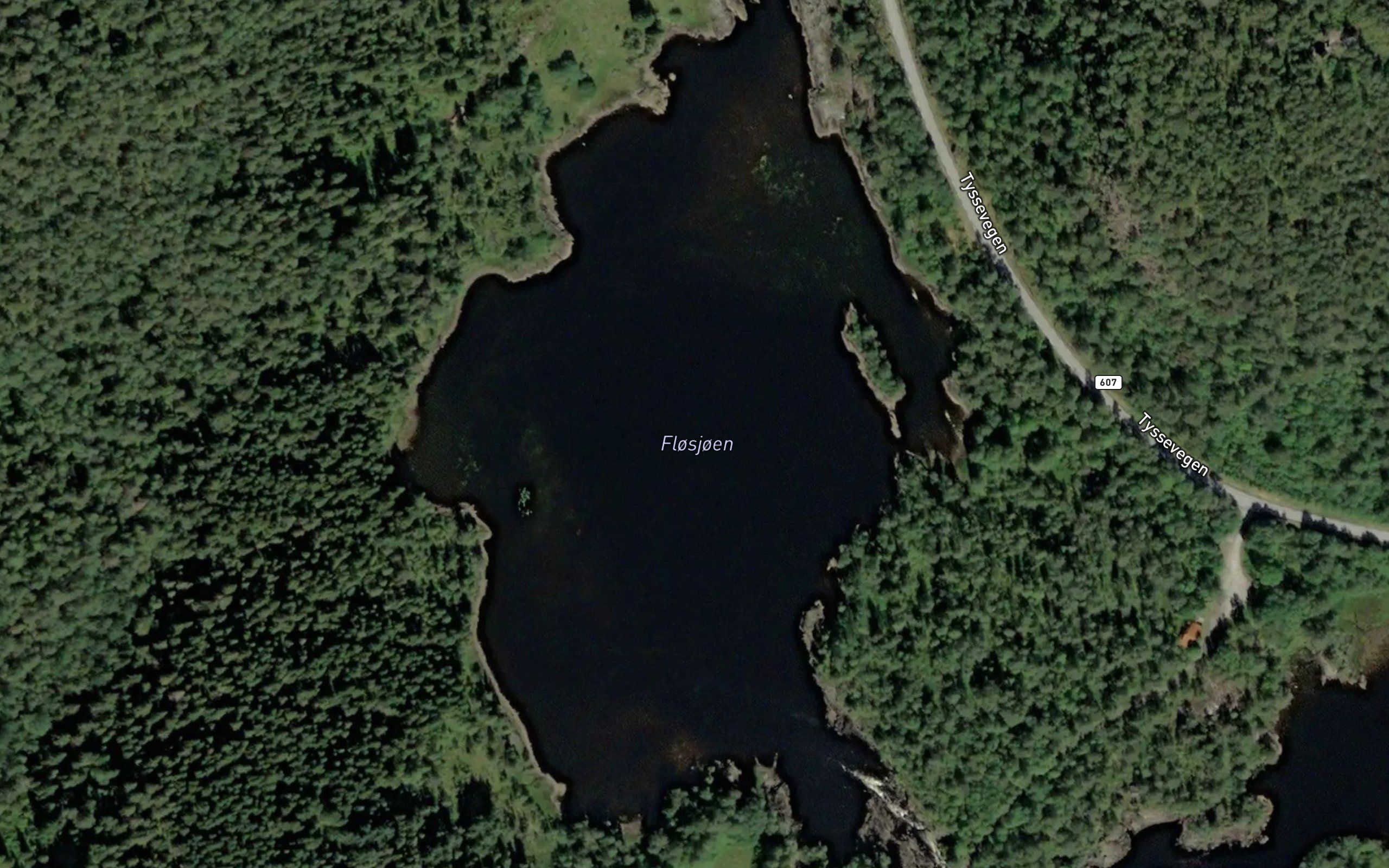 Flosjoen