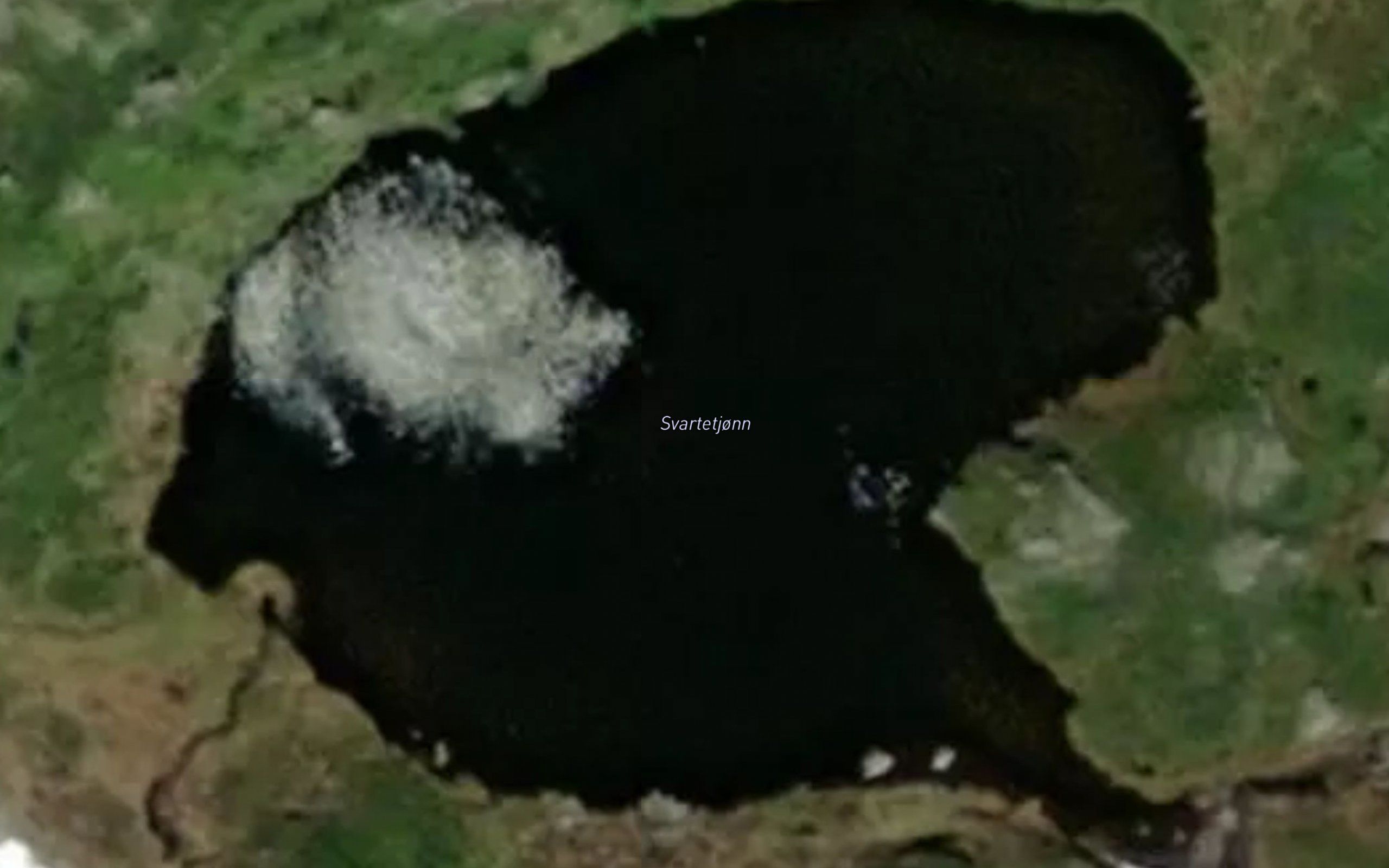 Svartetjonn