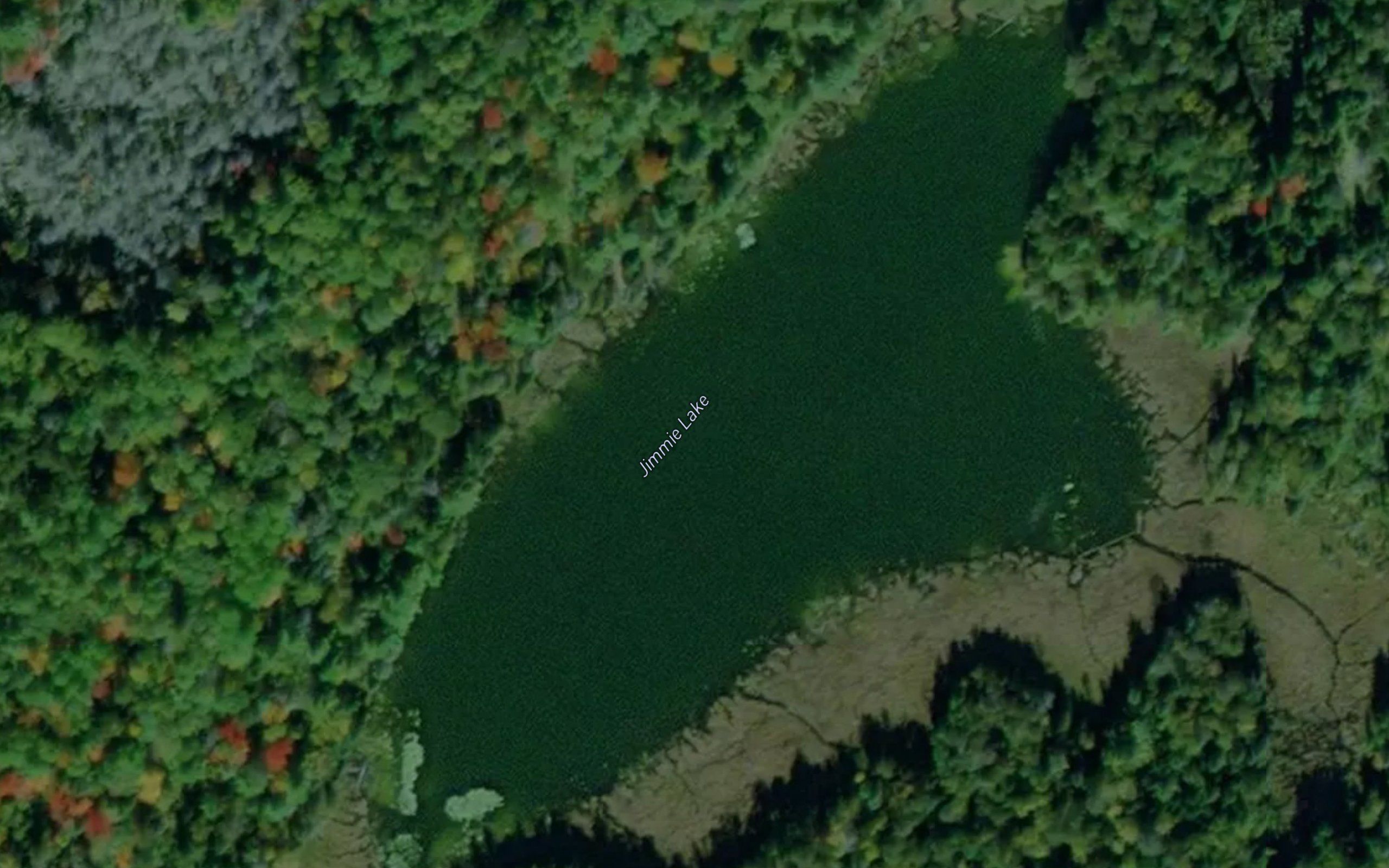 Jimmie Lake