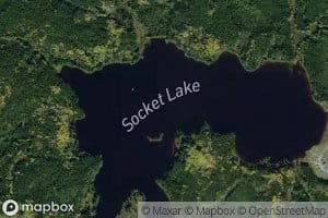 Socket Lake