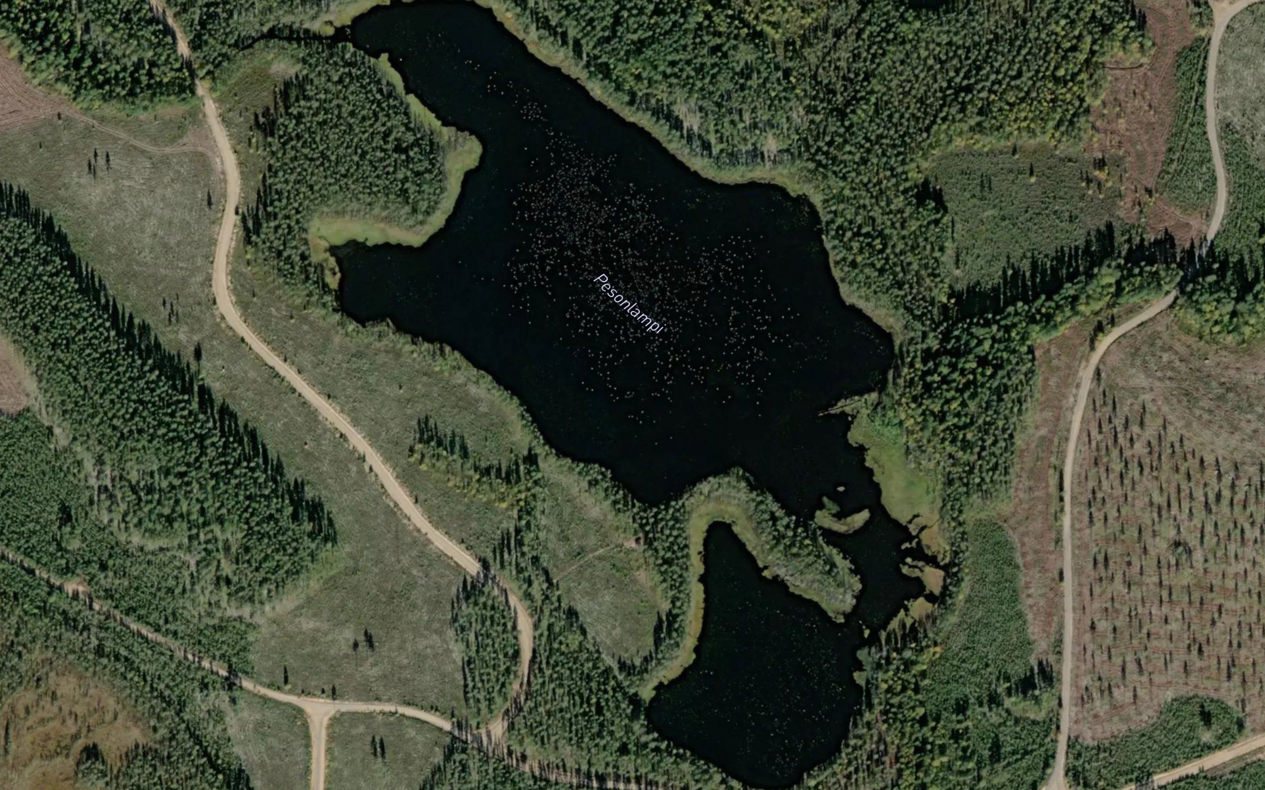 Pesonlampi