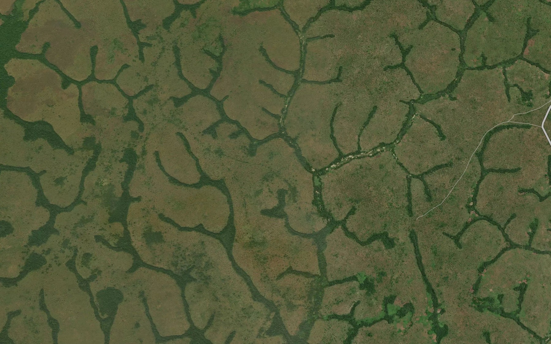 Satellite map of the Sada