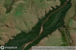 Arroyo Sauce de Macedo