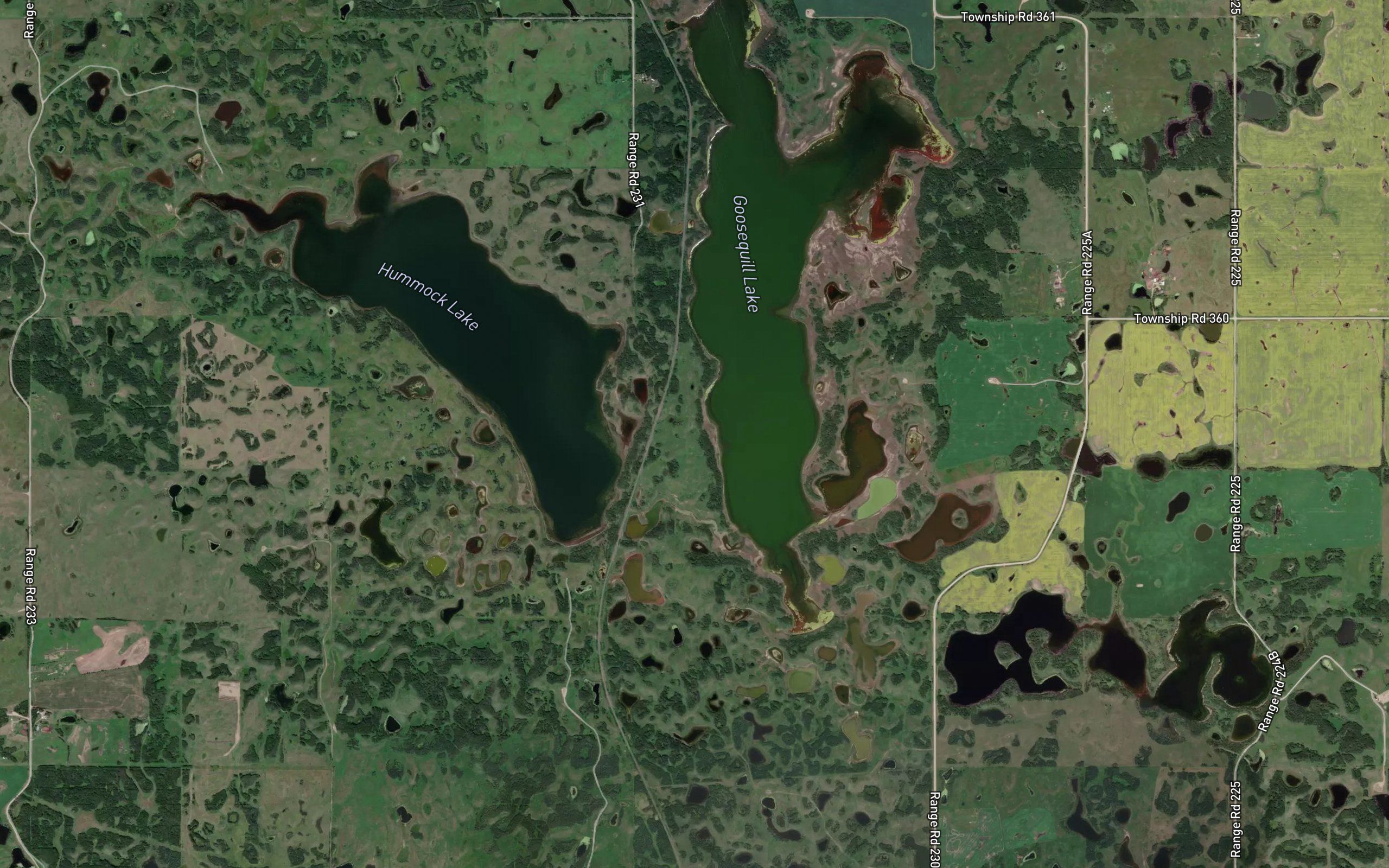 Hummock Lake