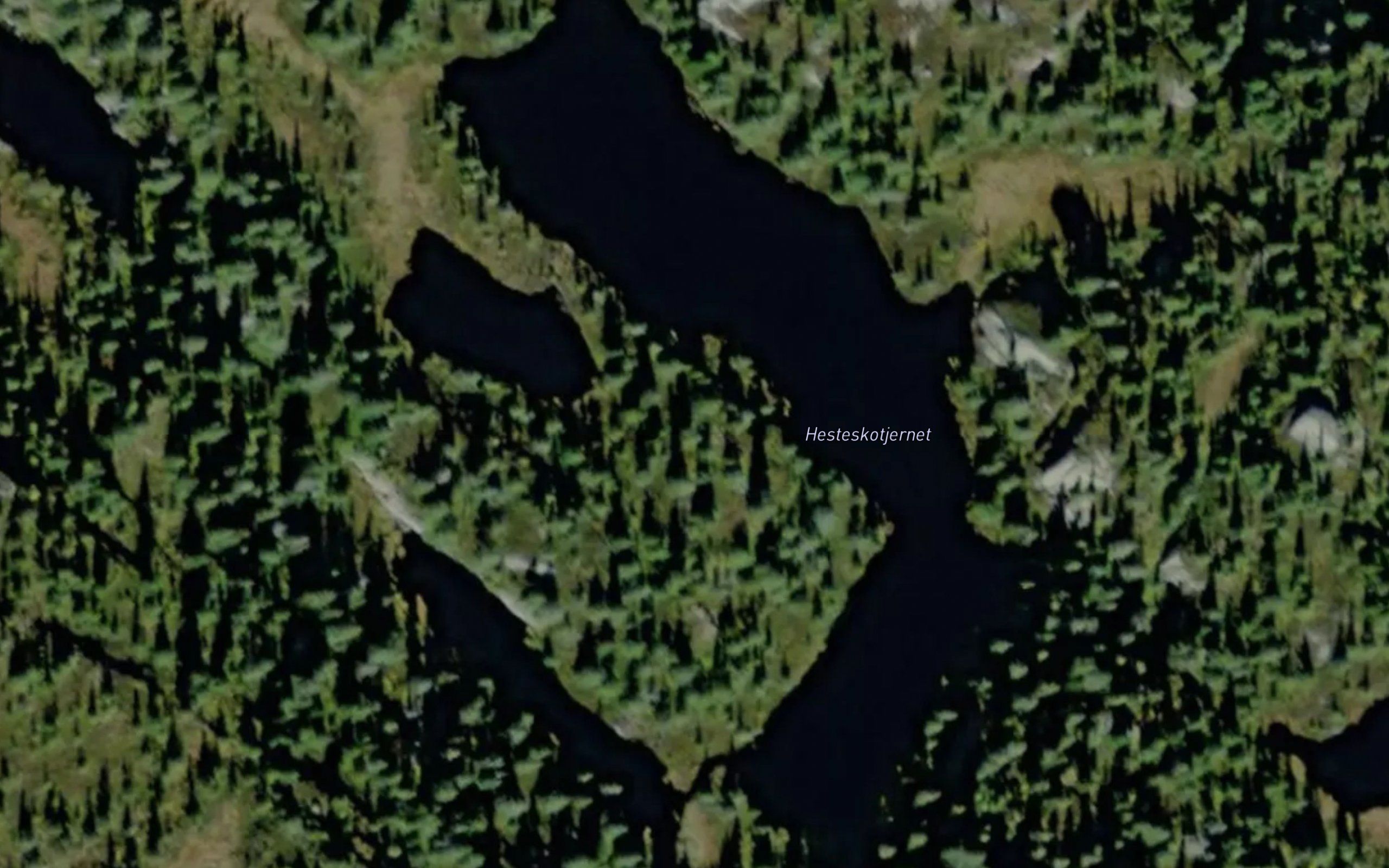 Hesteskotjernet