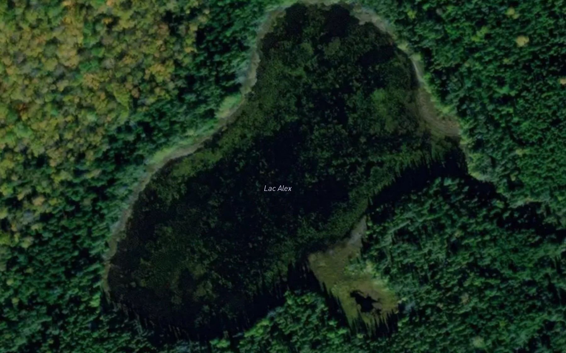 Satellite map of the Lac Alex