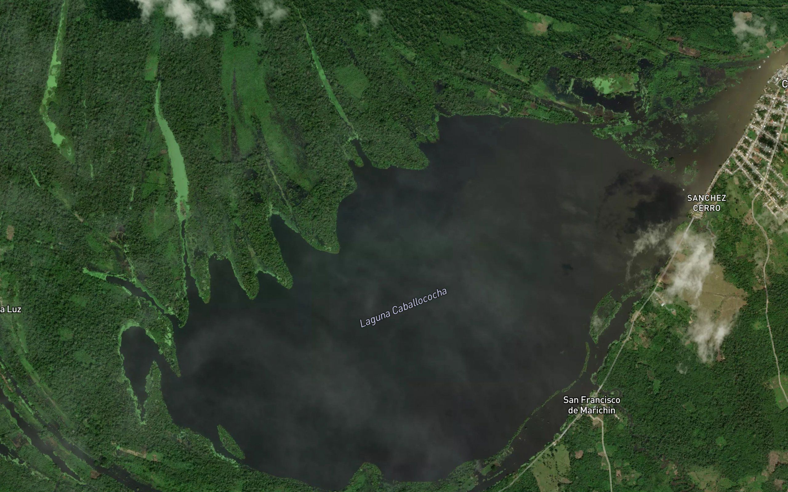 Laguna Caballococha