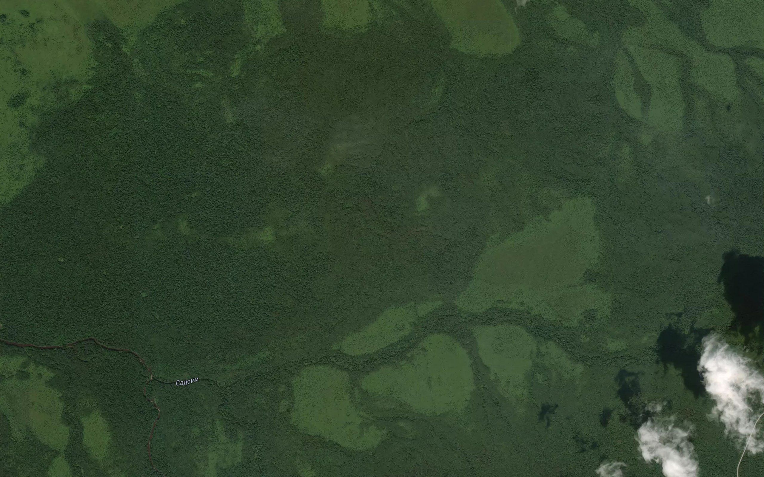 Sodomi