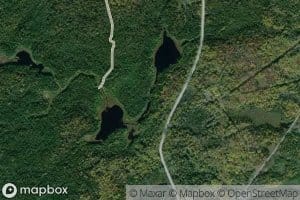 Lac Bacon