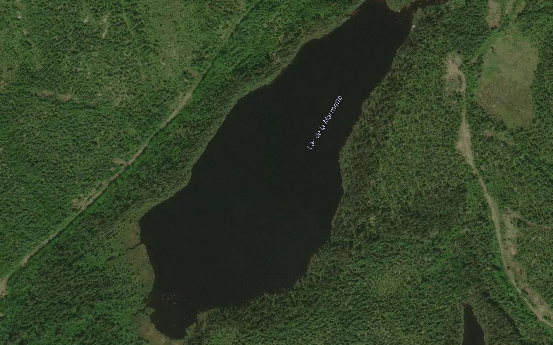 Satellite map of the Lac de la Marmotte