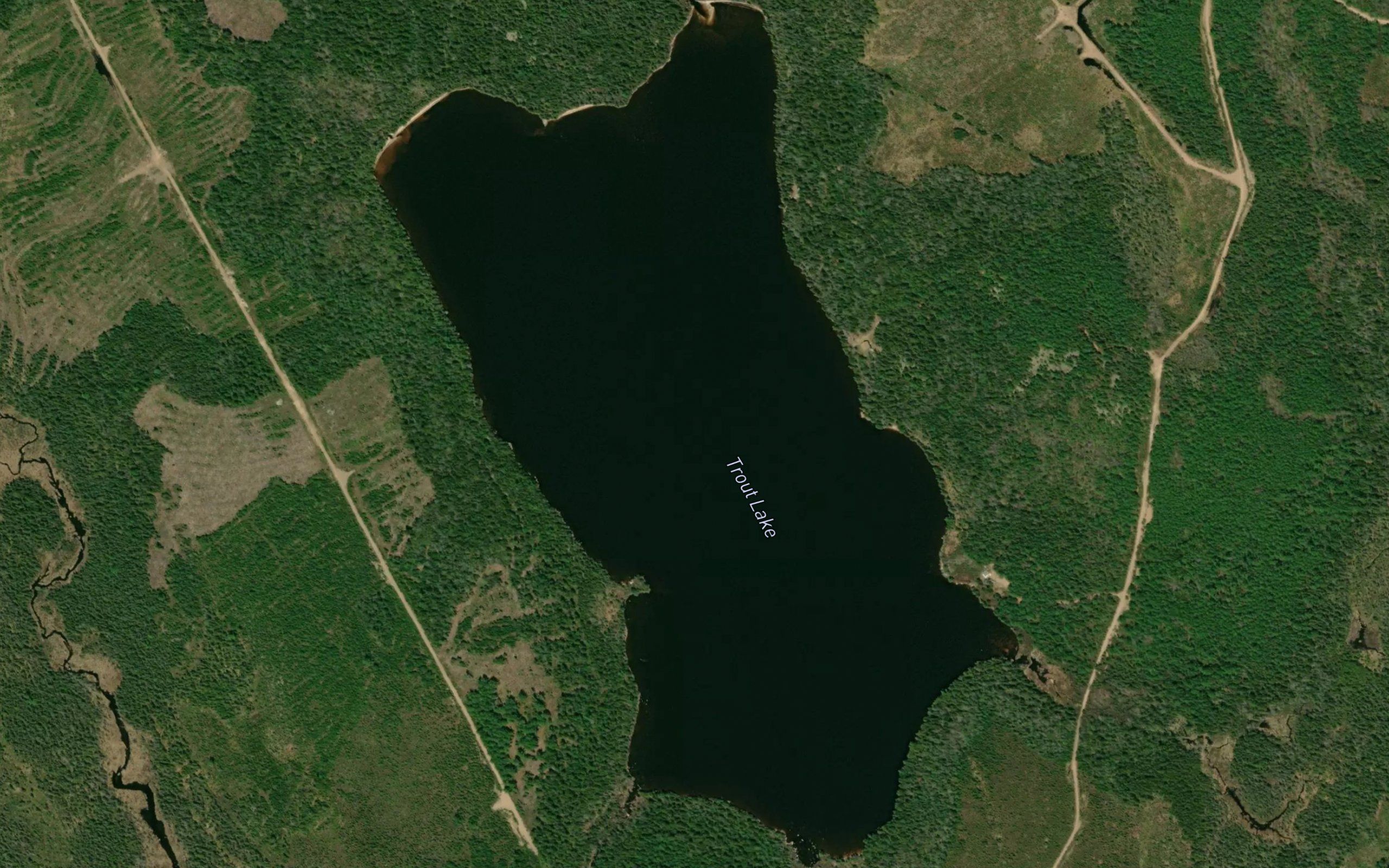 Trout Lake