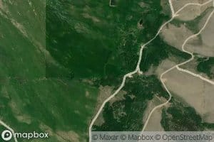 Harlin Robinson Ditch