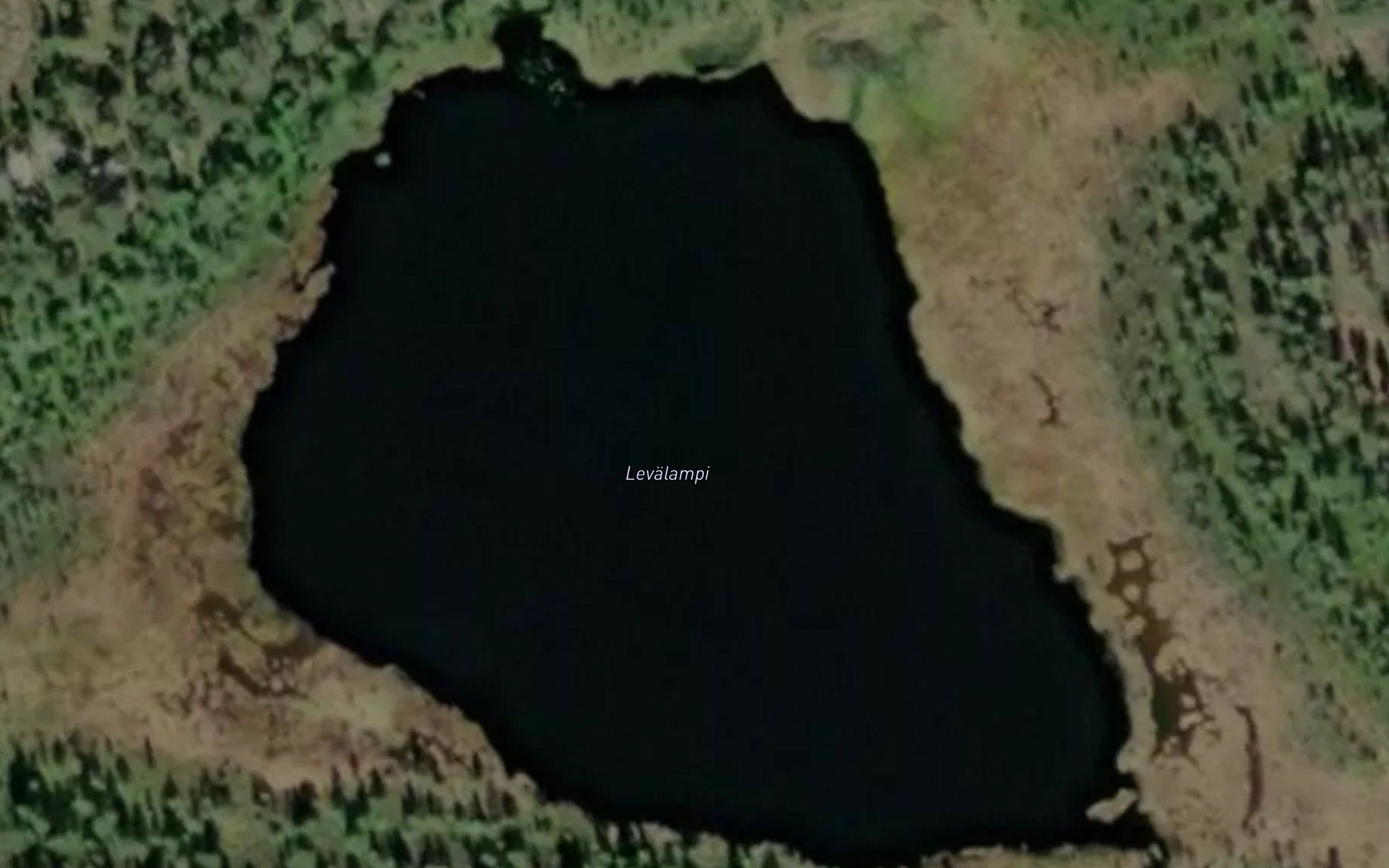 Levalampi