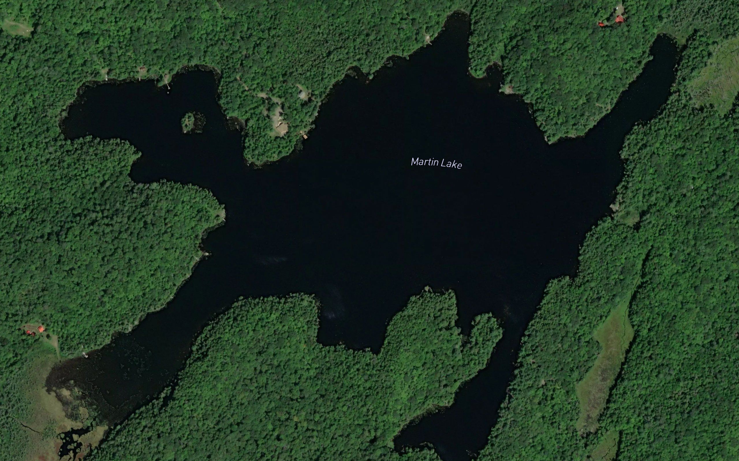 Martin Lake