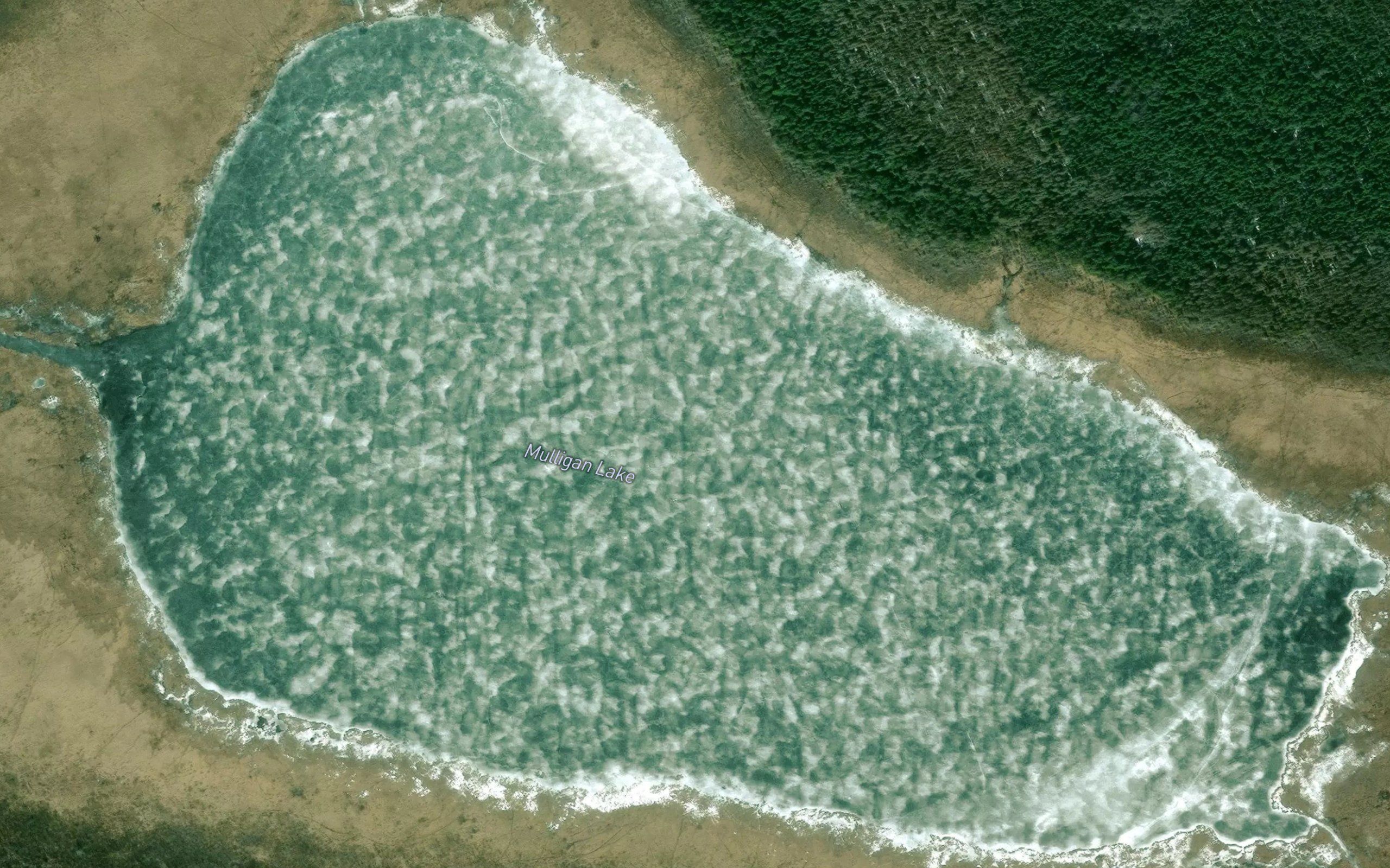 Mulligan Lake