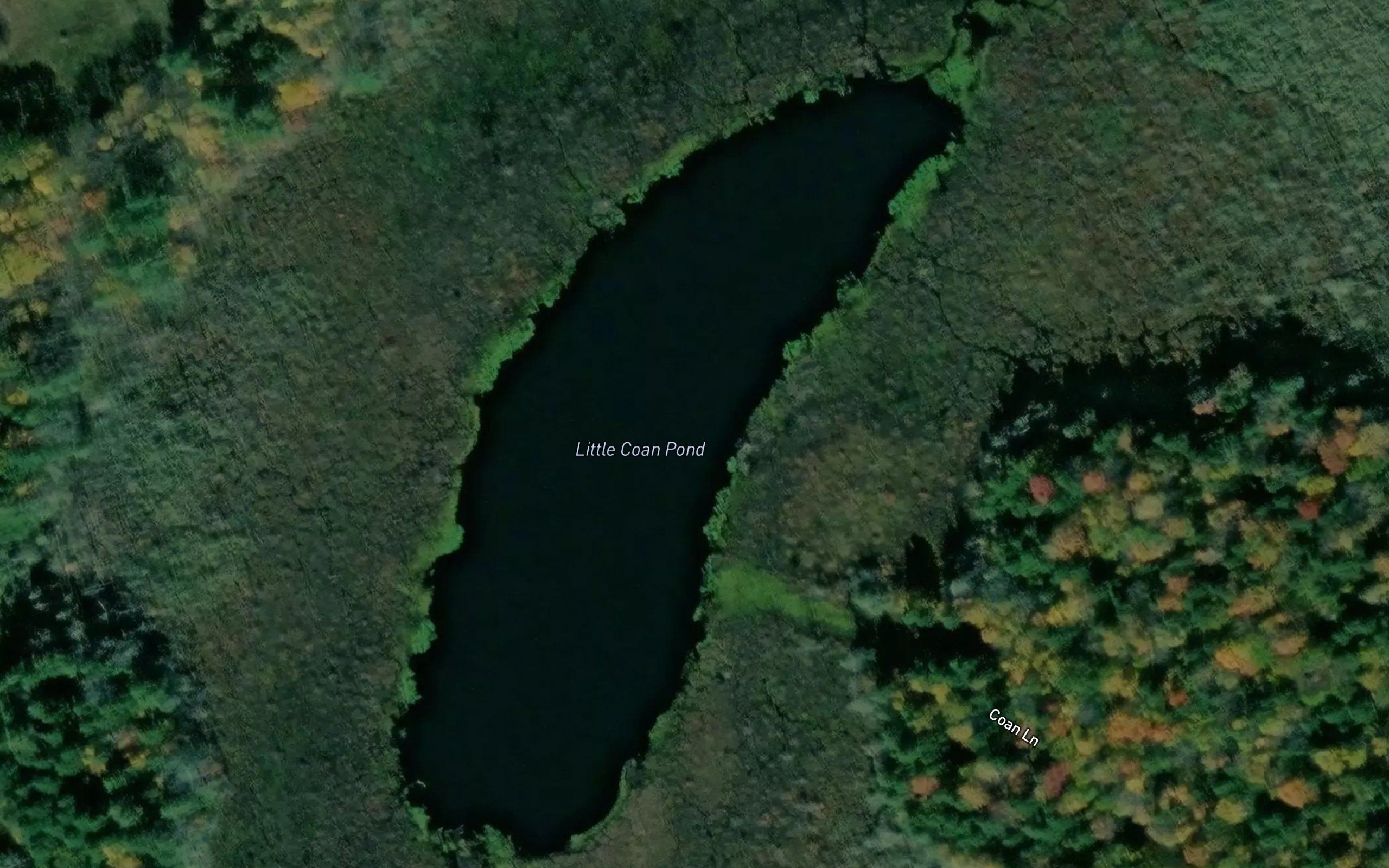 Little Coan Pond