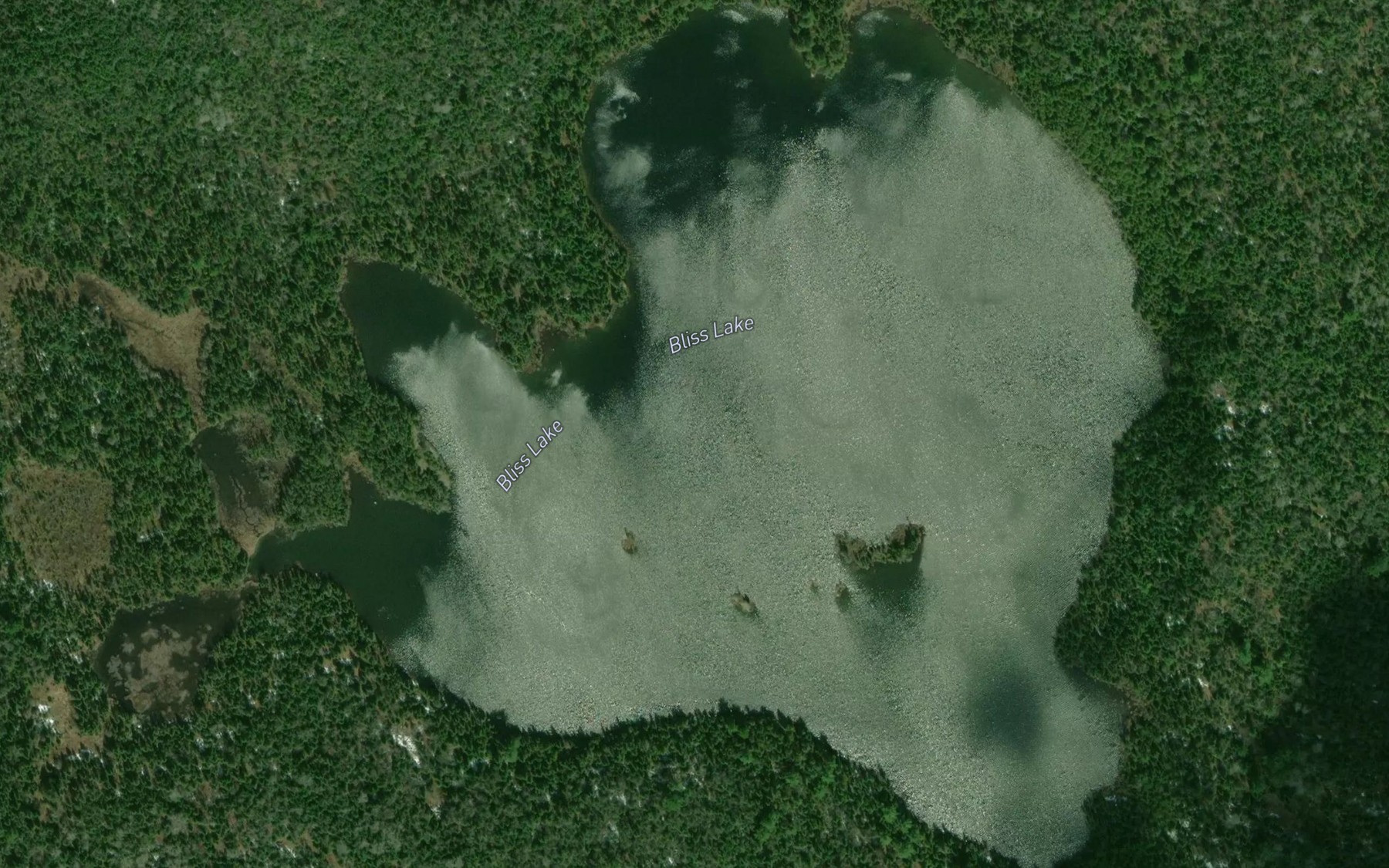 Satellite map of the Bliss Lake