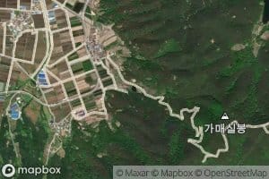 Origol-chi