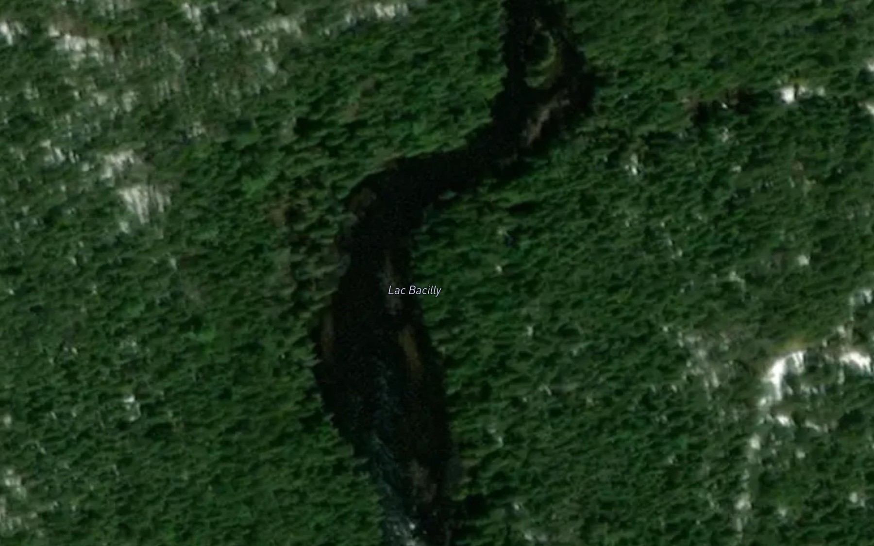 Satellite map of the Lac Bacilly