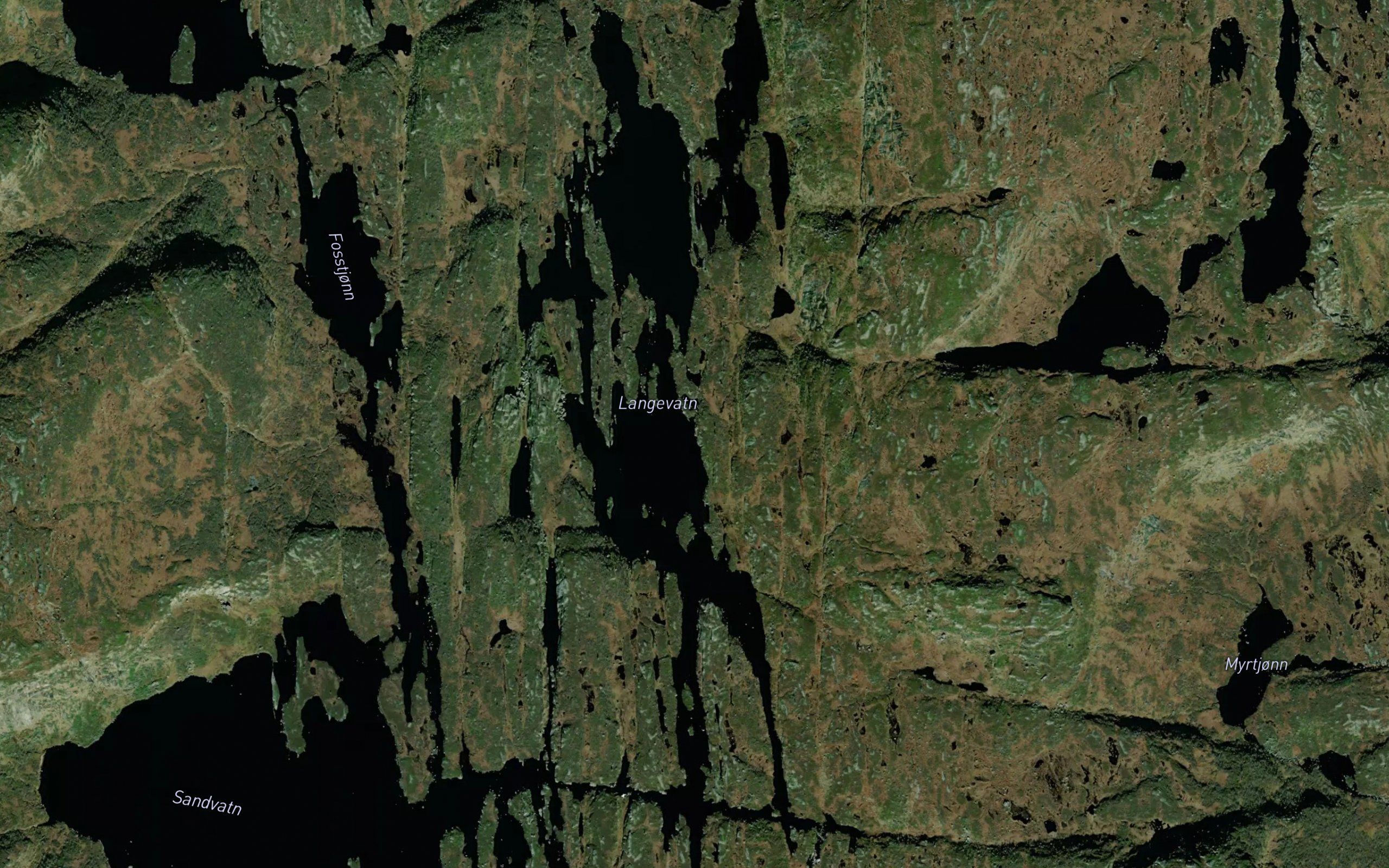 Langevatnet