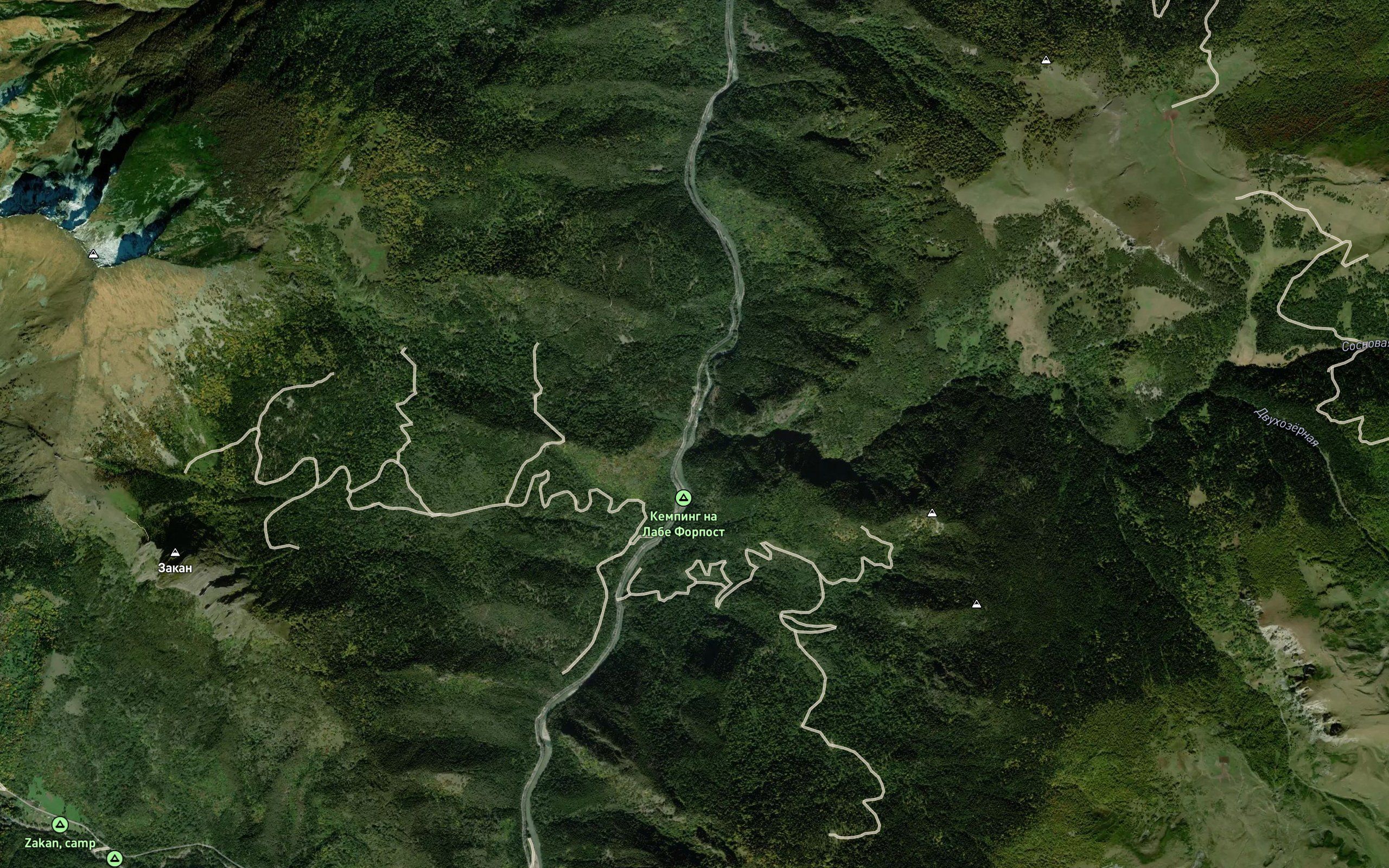 Sosnovaya