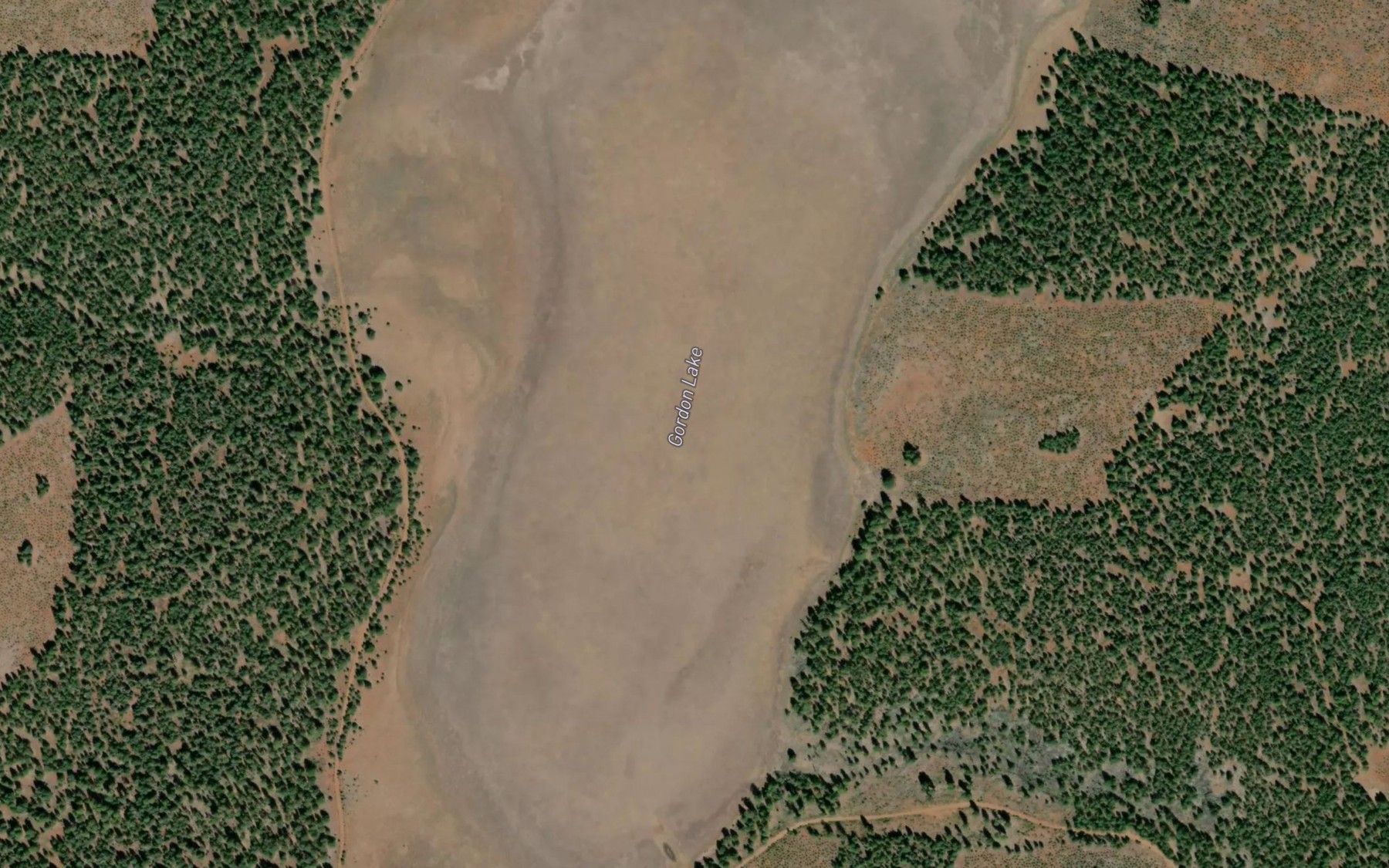 Satellite map of the Gordon Lake