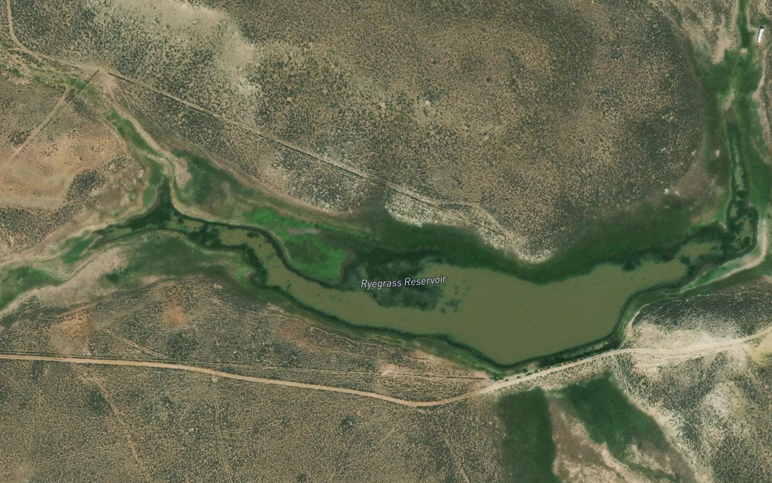 Ryegrass Reservoir