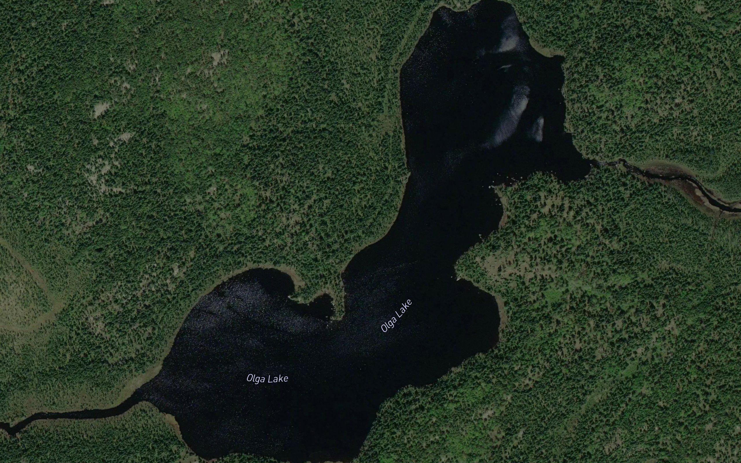 Olga Lake