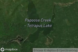 Tetrapus Lake