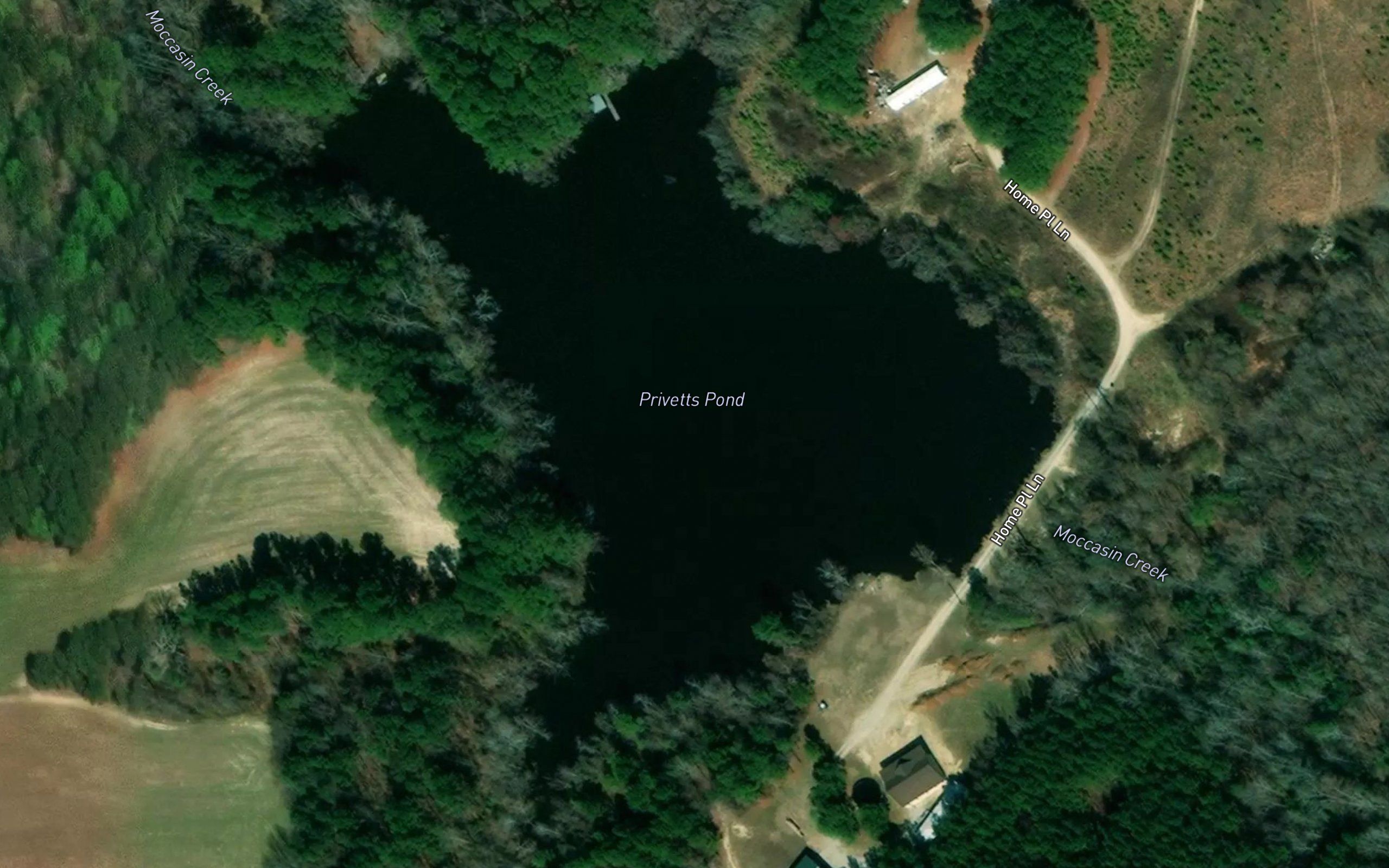 Privetts Pond